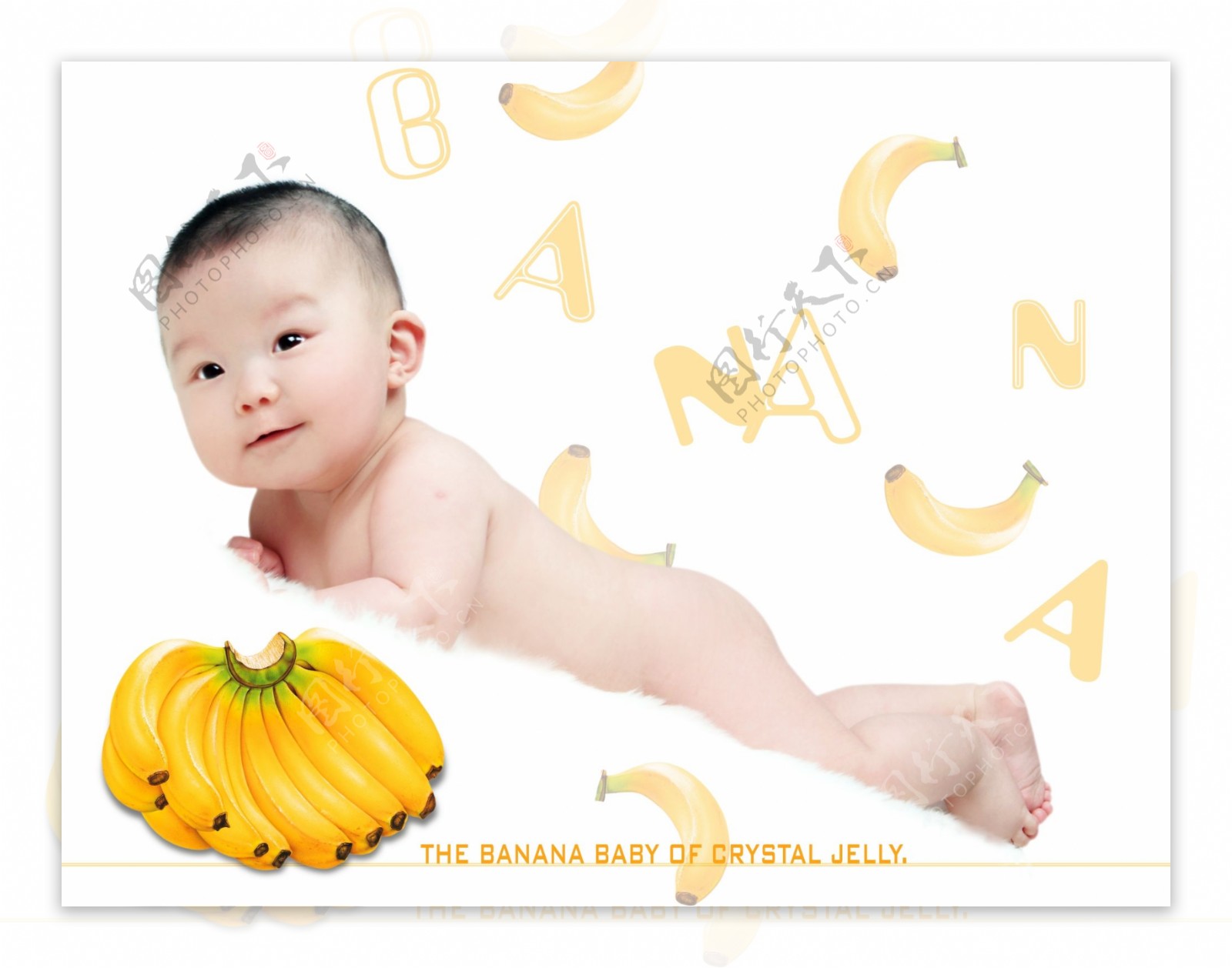 儿童相册模板水果宝宝图片