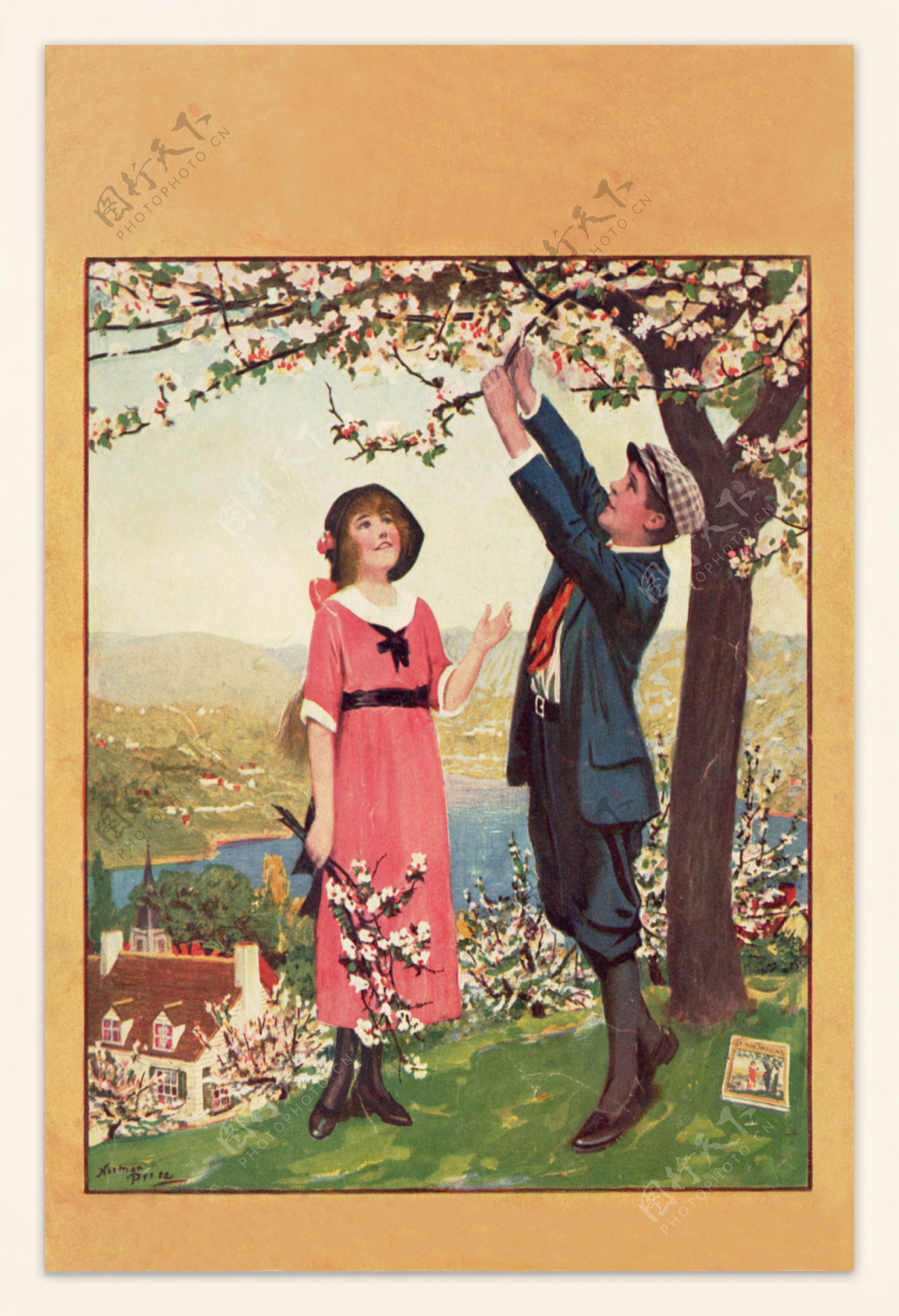 桃花树下的爱情图片