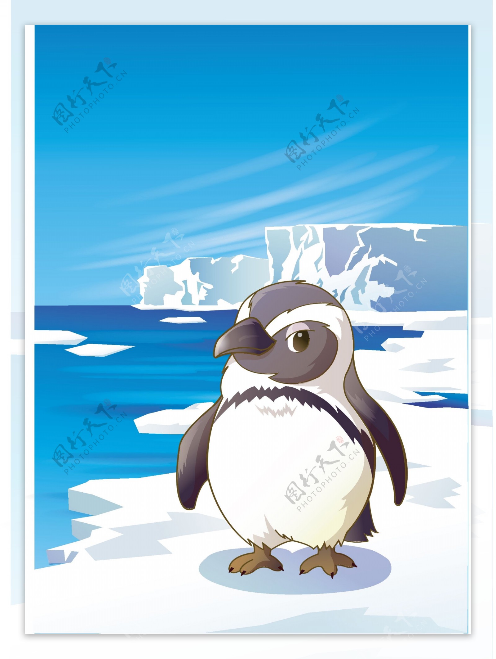 动物插画企鹅图片