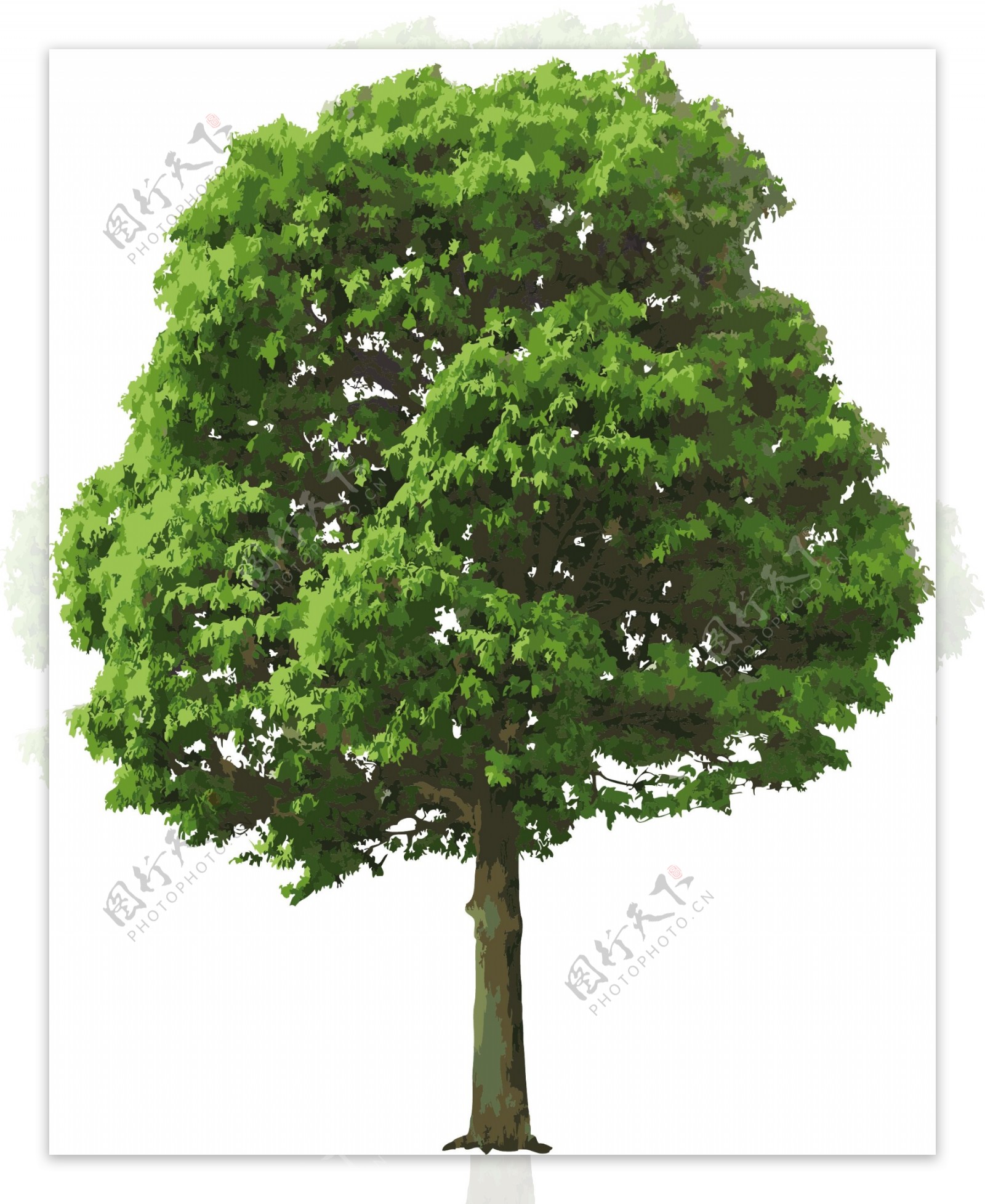 茂盛绿树矢量素材