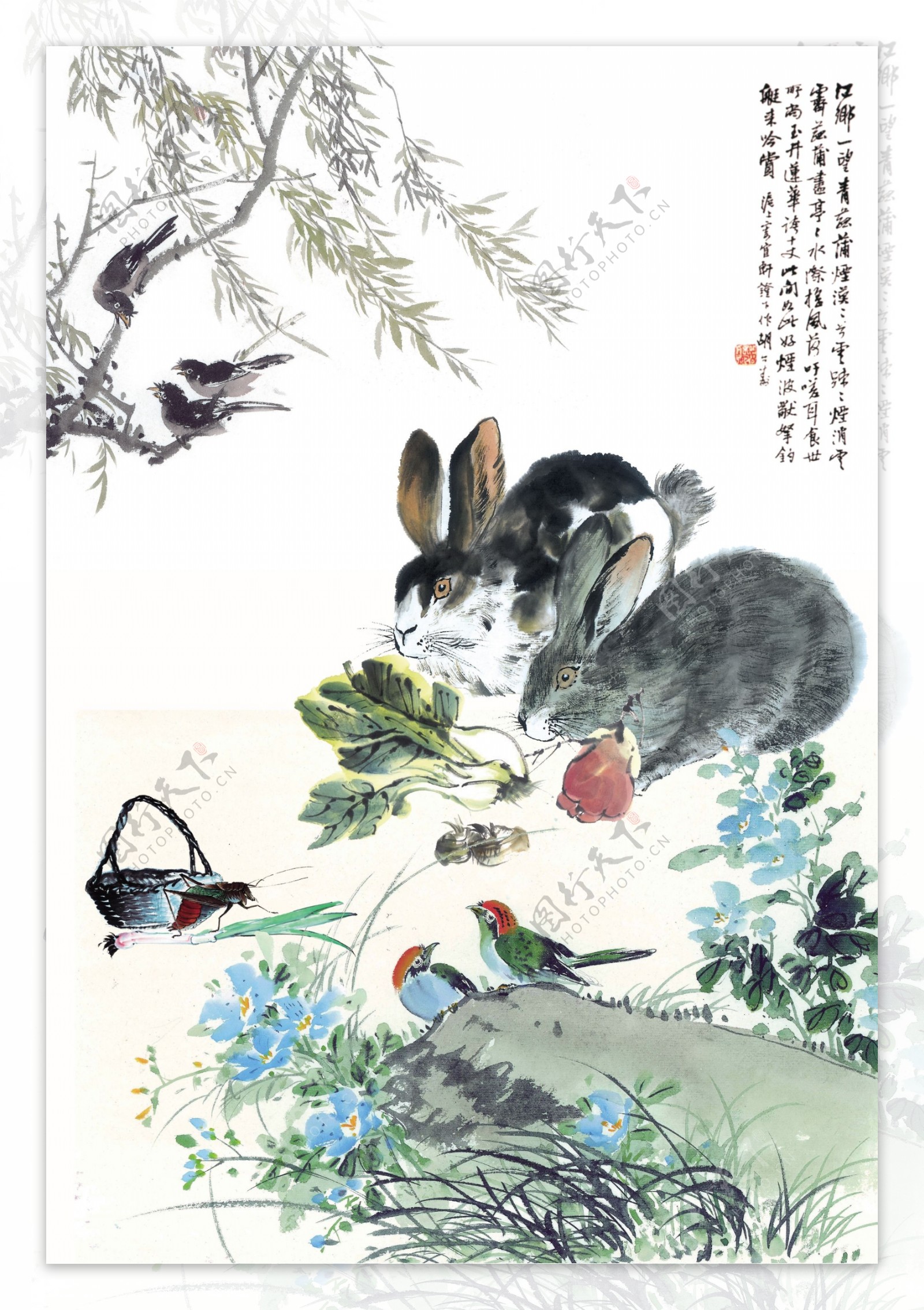 兔子草丛图片