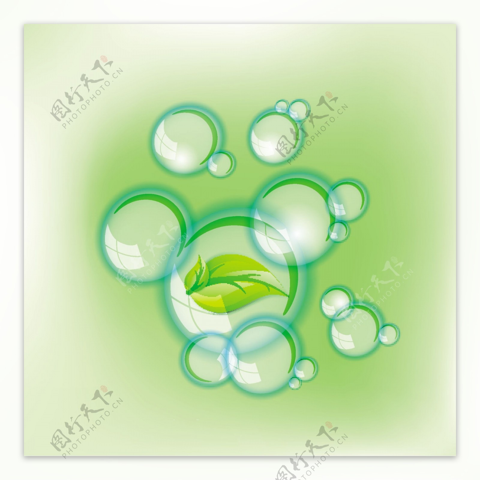 生态自然观与绿色叶水气泡