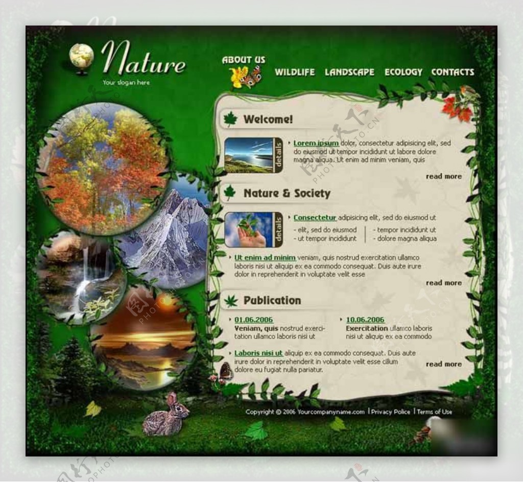 绿色生态自然保护区网页模板