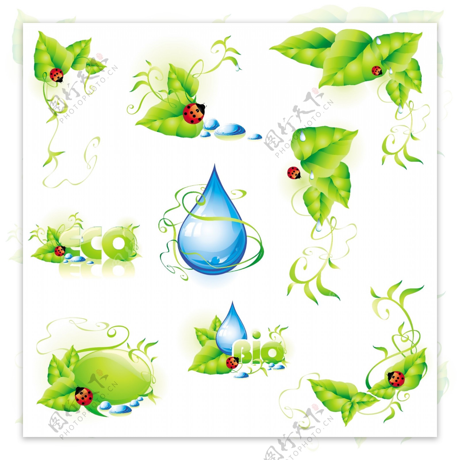 瓢虫与绿叶水滴矢量素材