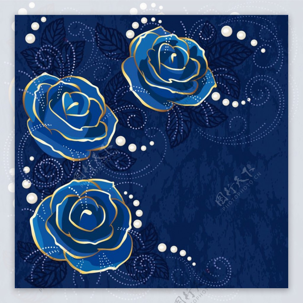 蓝色玫瑰花背景矢量素材
