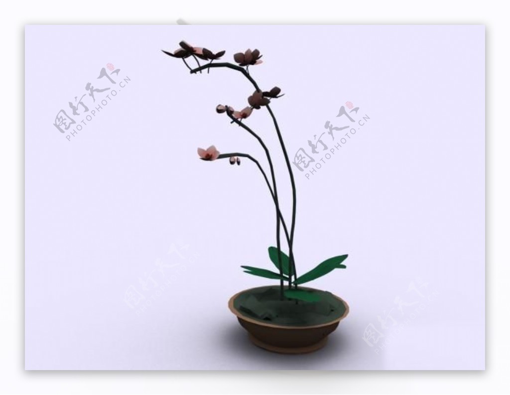 植物盆栽室内装饰素材免费下载盆栽3d模型免费下载212