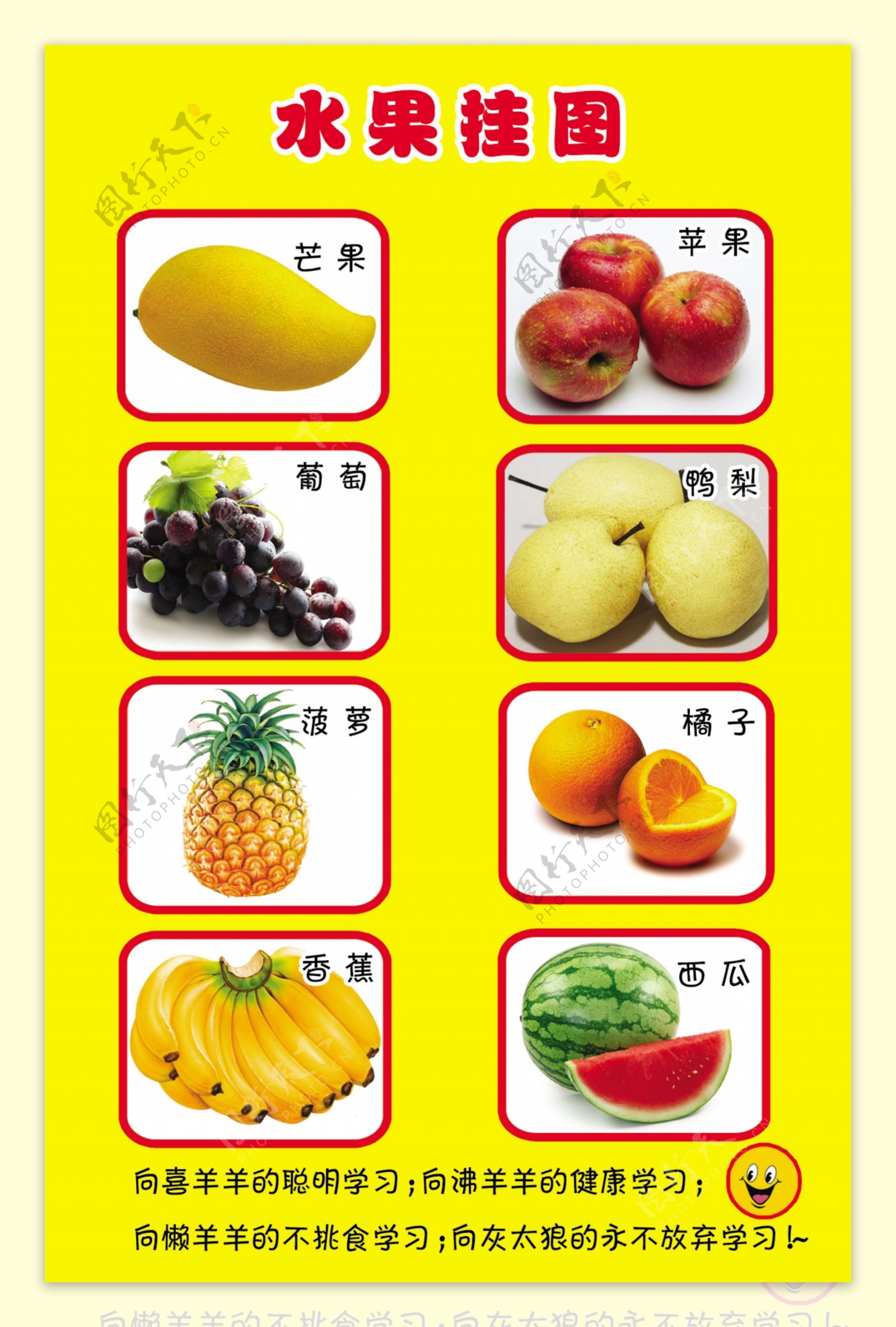 水果挂图图片