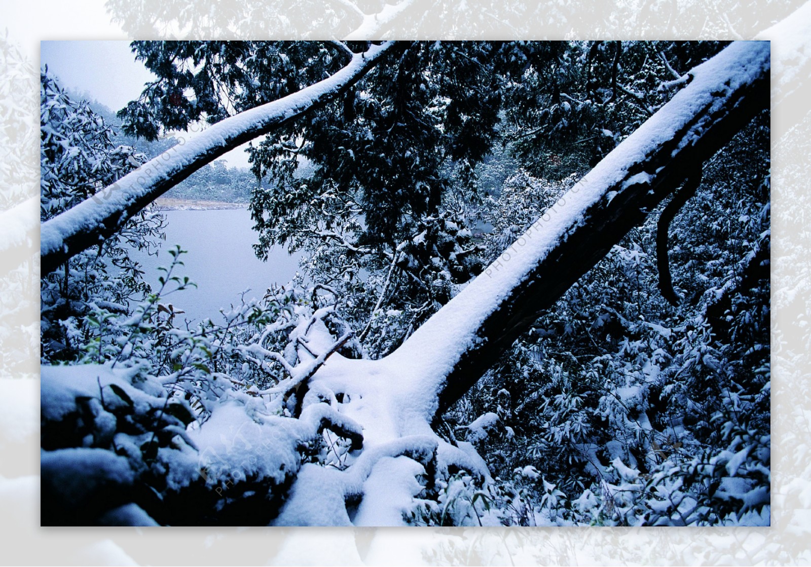 冬天雪景