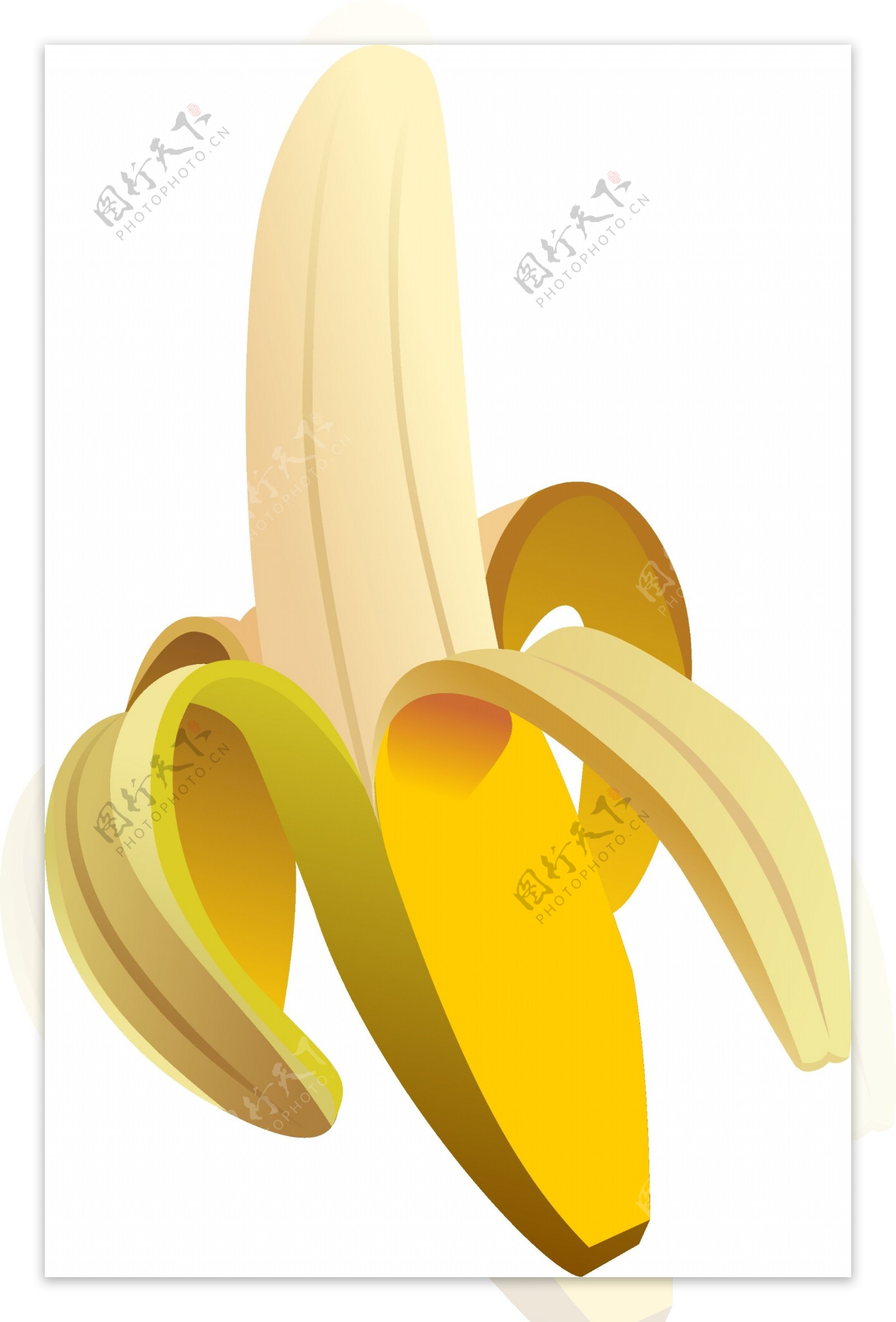 香蕉矢量图图片
