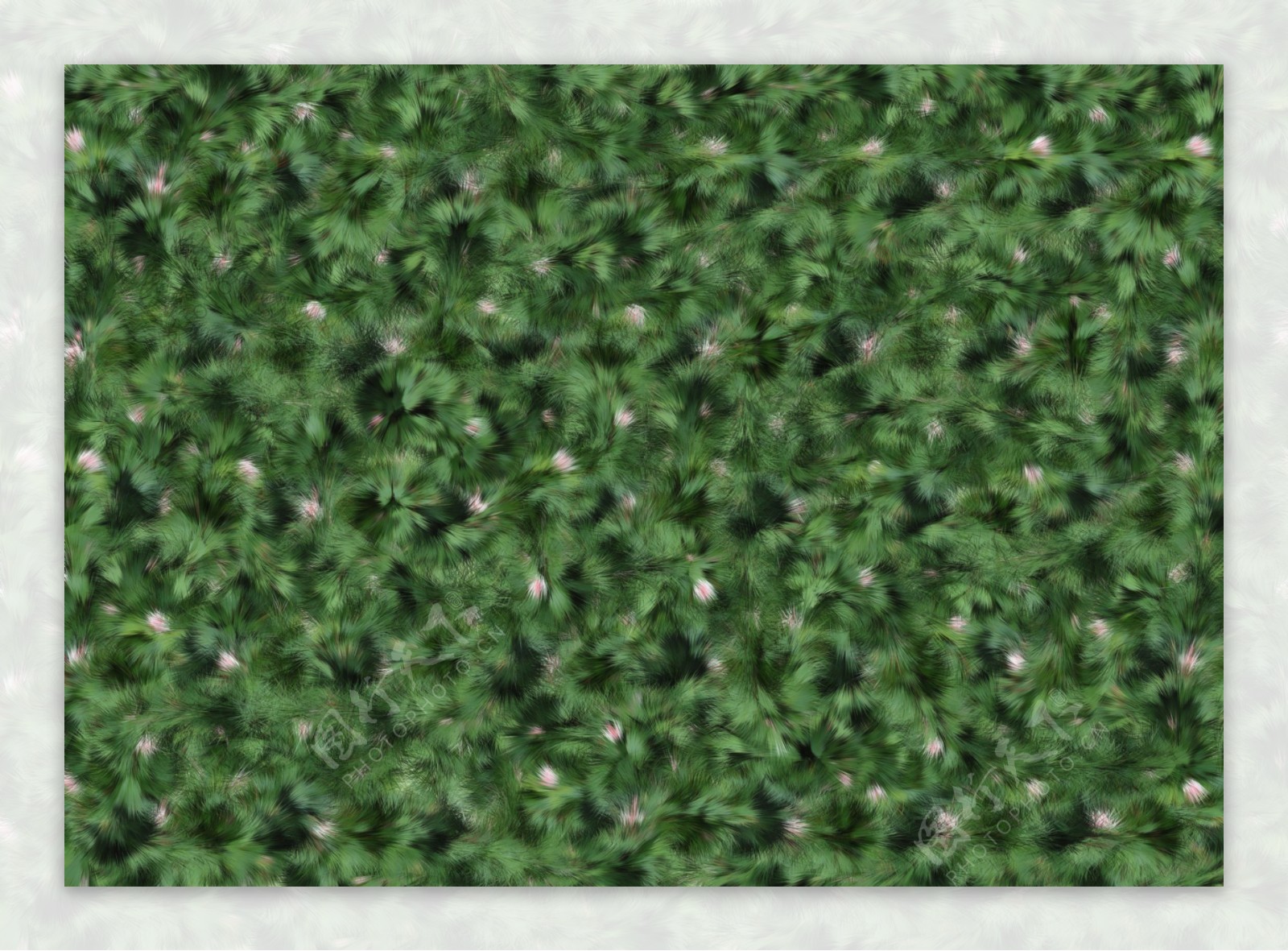 绿色羽毛地毯背景