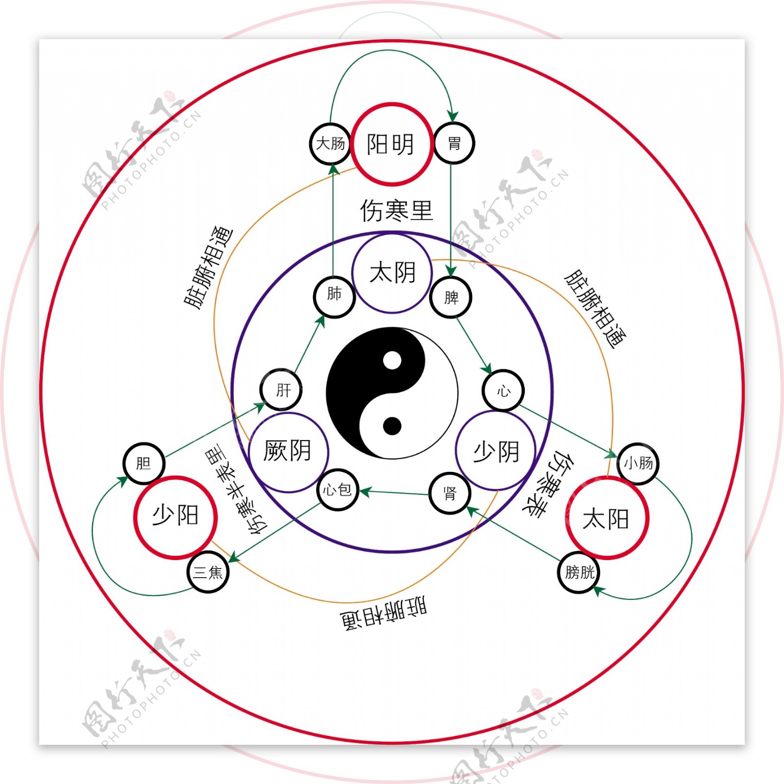 十二经络养生图片