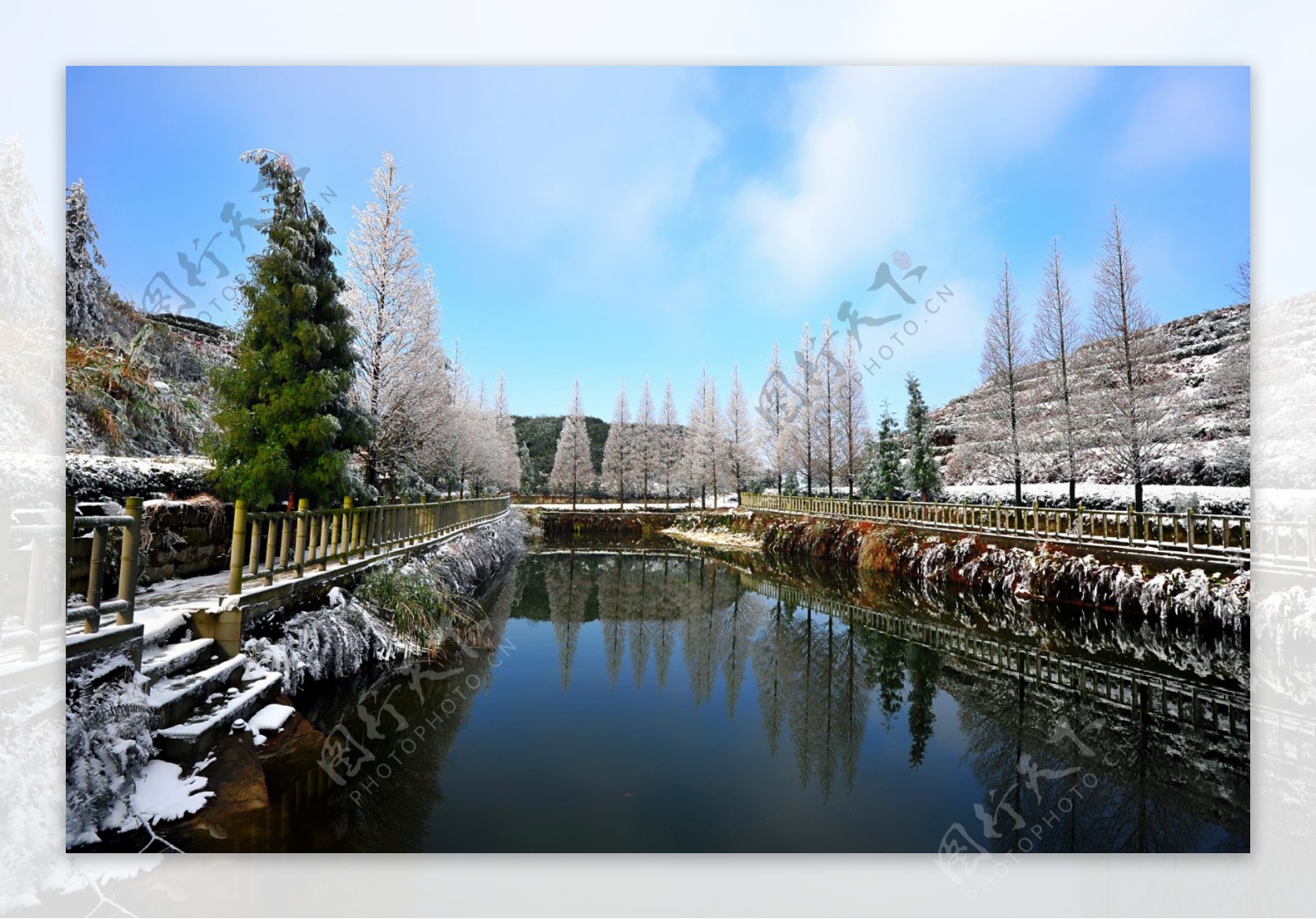 茶山竹海雪景图片