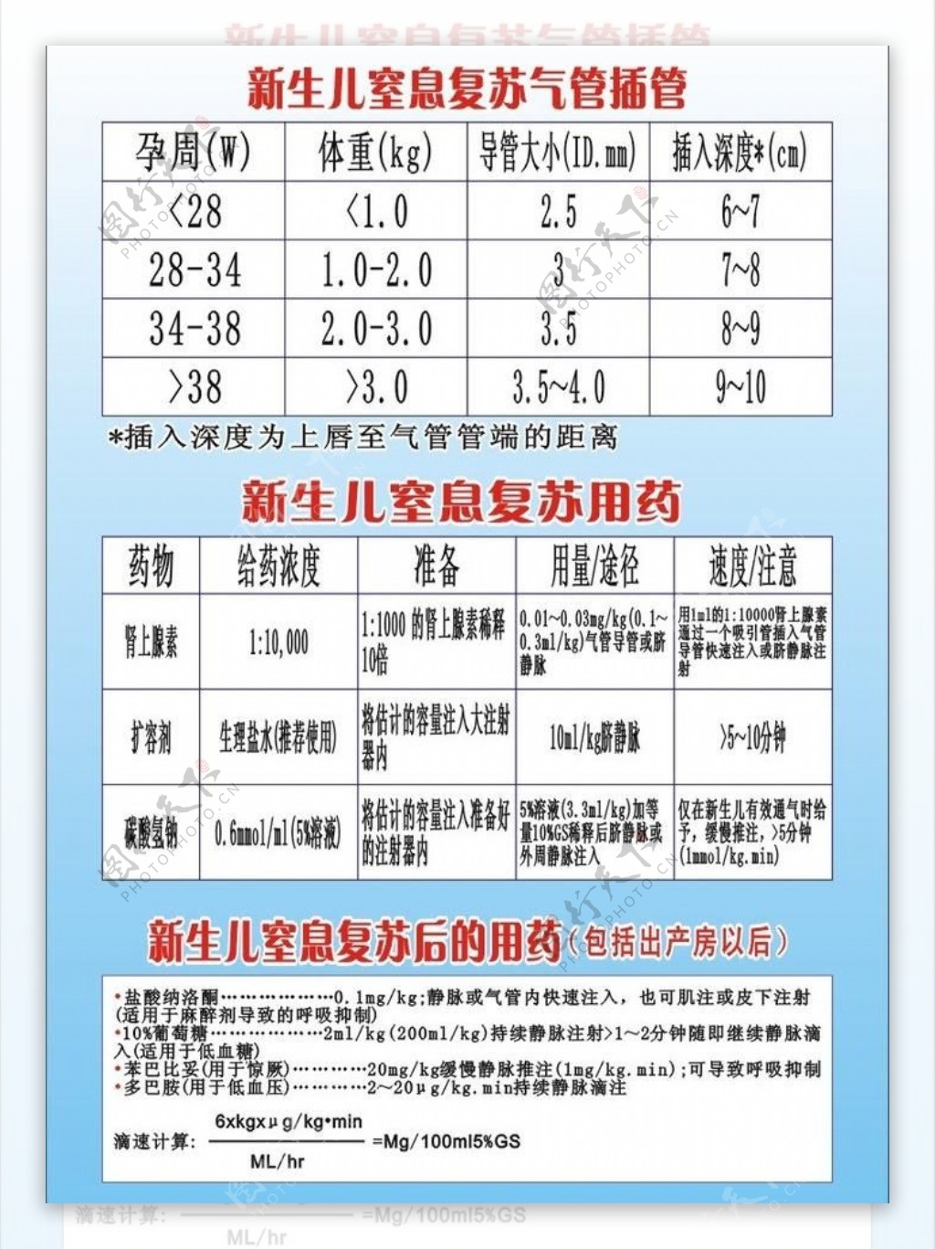 新生儿窒息复苏气管插管流程图图片