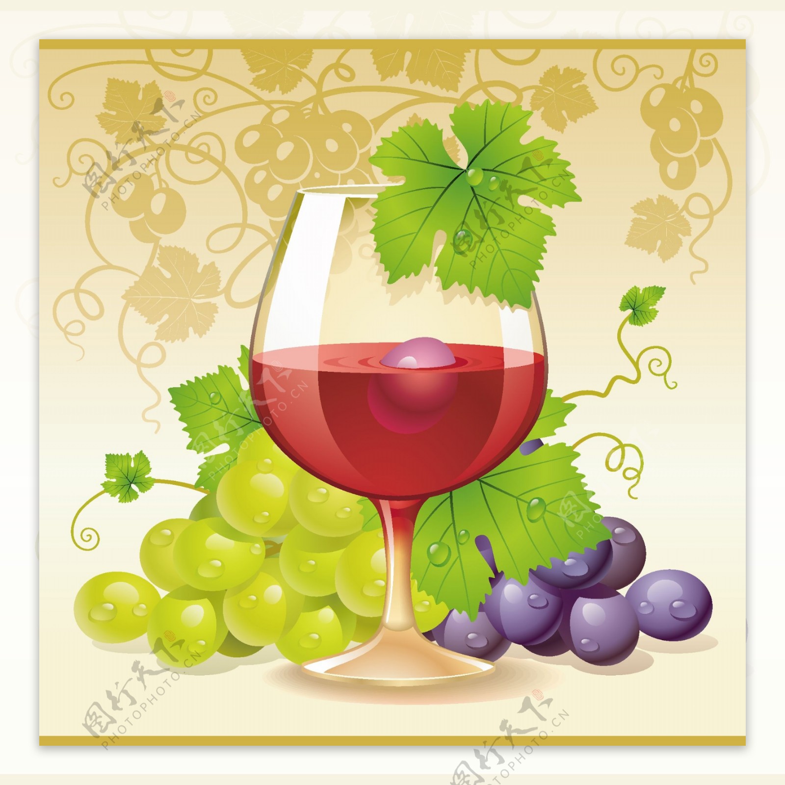 葡萄藤蔓和葡萄酒