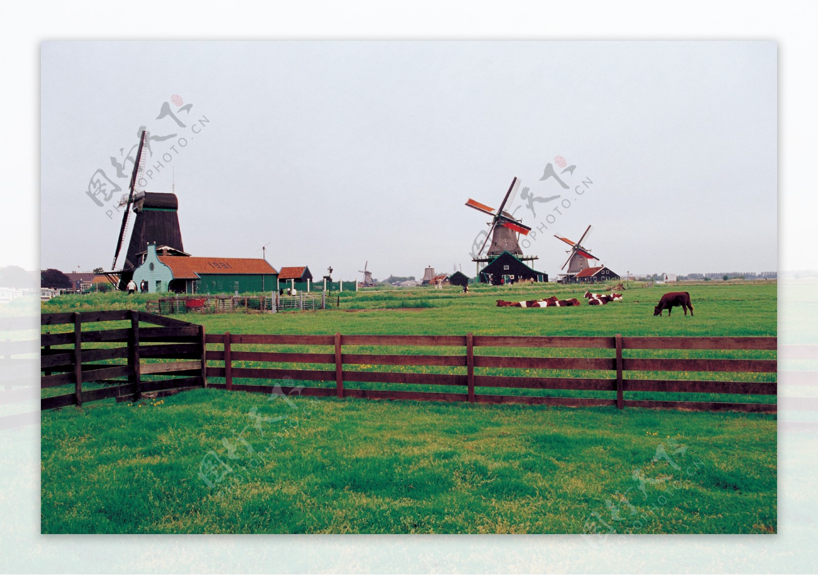 比利时国外外国风光风景草原草地大自然风车广告素材大辞典