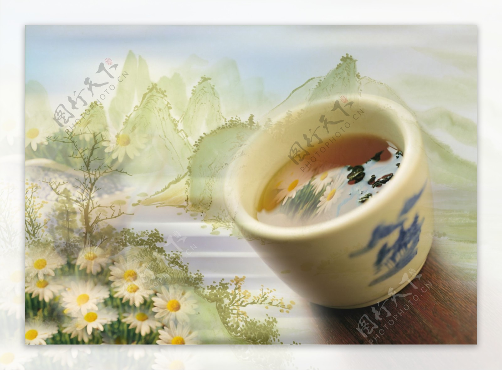 一杯茶背景是菊花和山水画