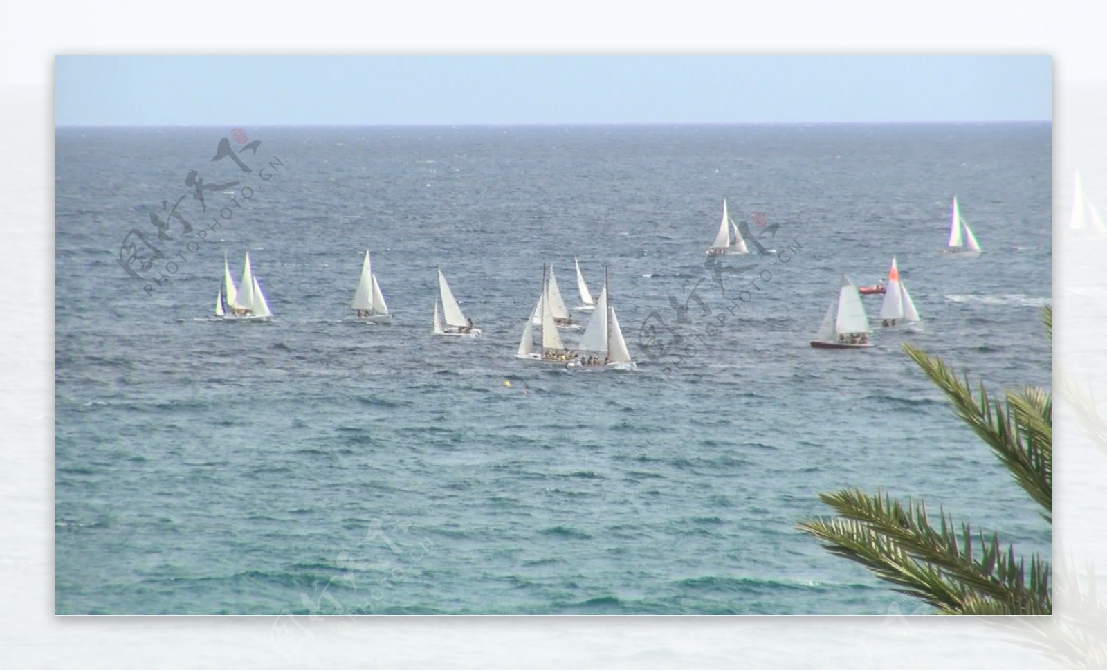 在水离岸4股票的视频片段帆船集团
