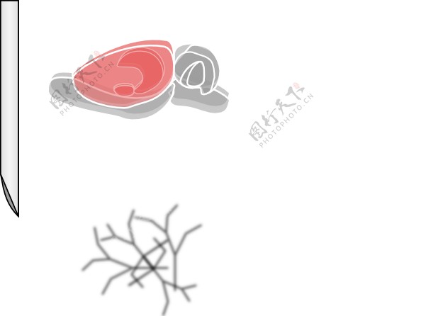 大鼠脑的剪辑艺术