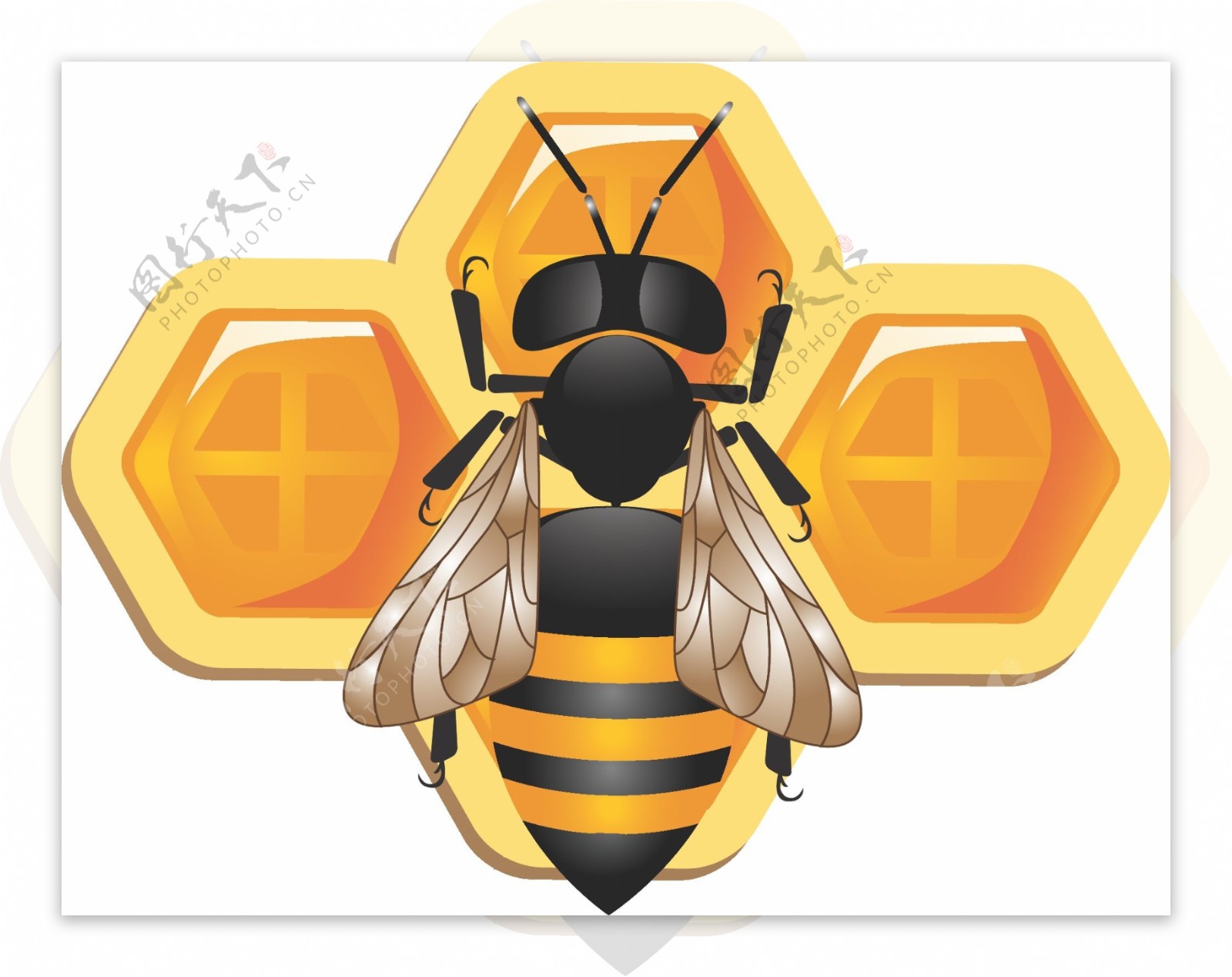 详细的三维蜜蜂蜂巢图标