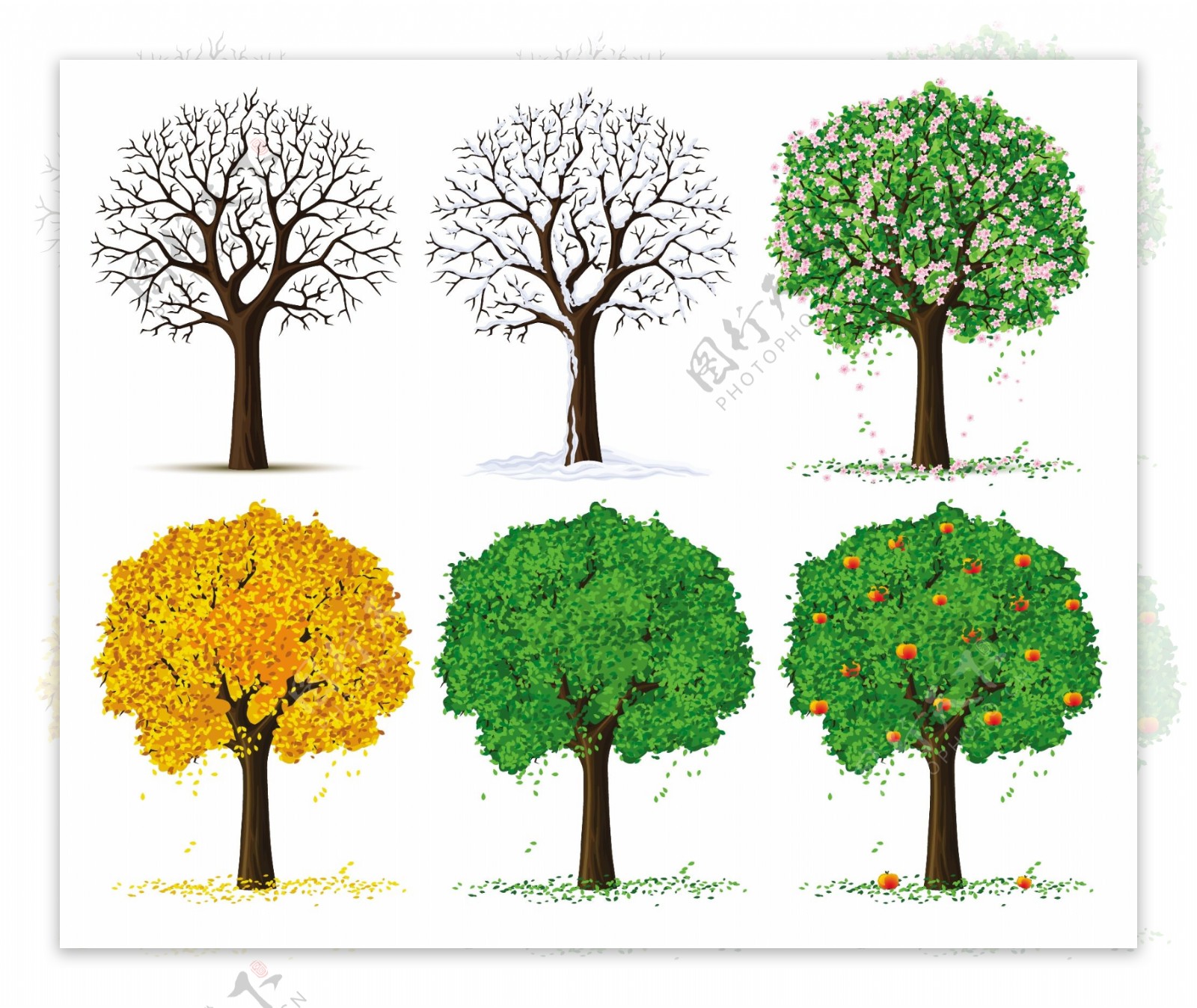 四季的树木矢量素材
