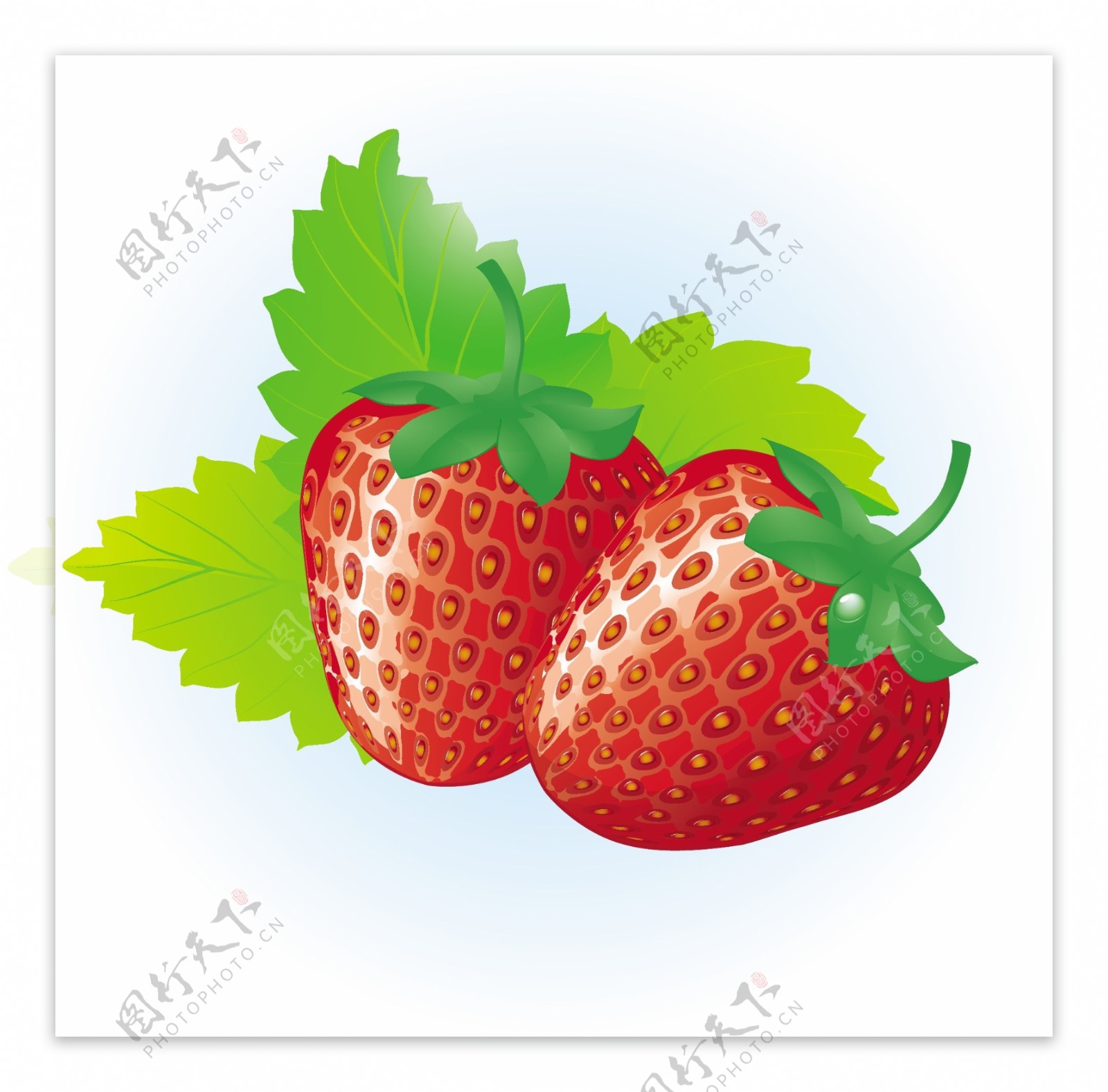 多汁的红草莓矢量图形