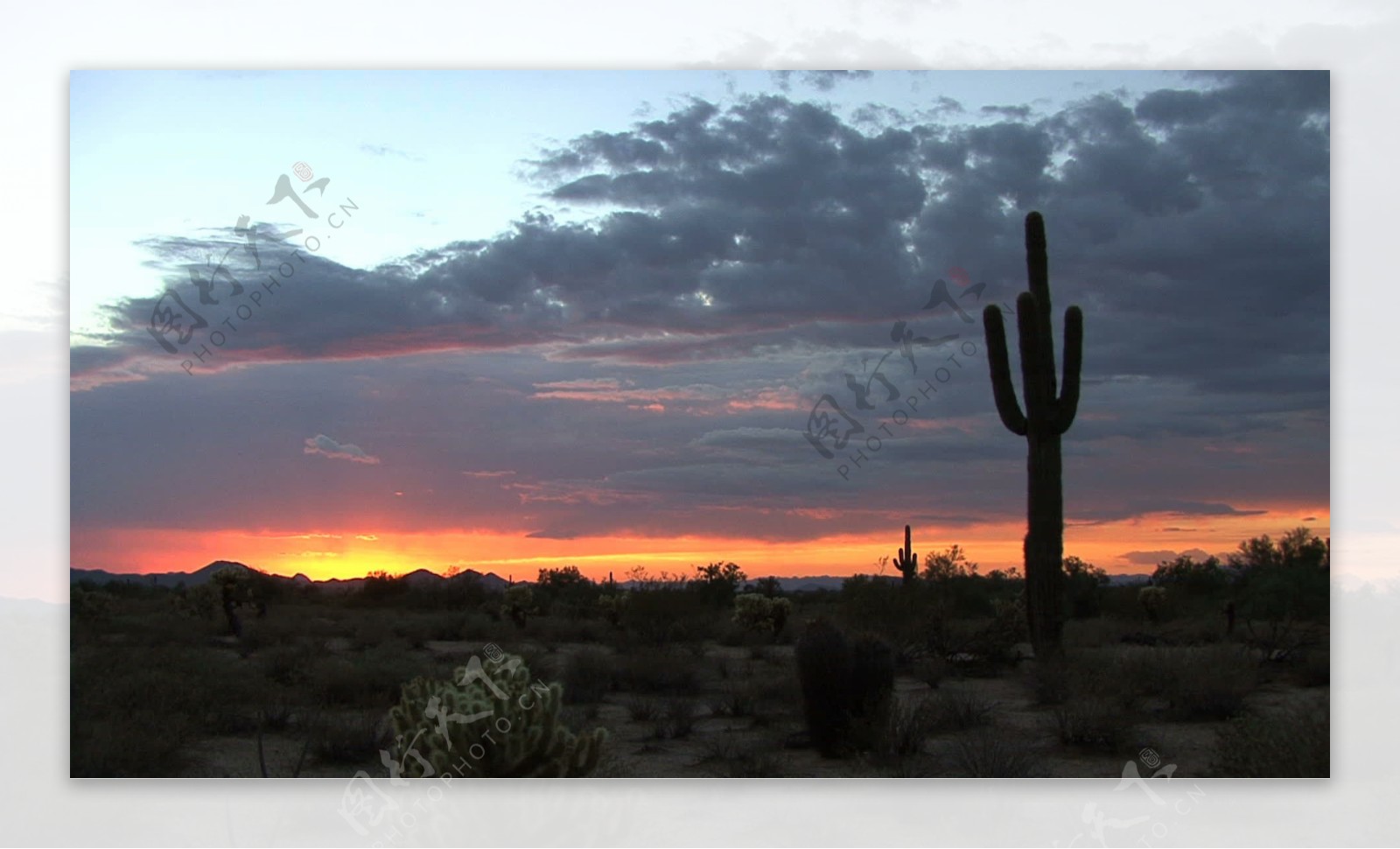 亚利桑那州的沙漠日落股票视频视频免费下载