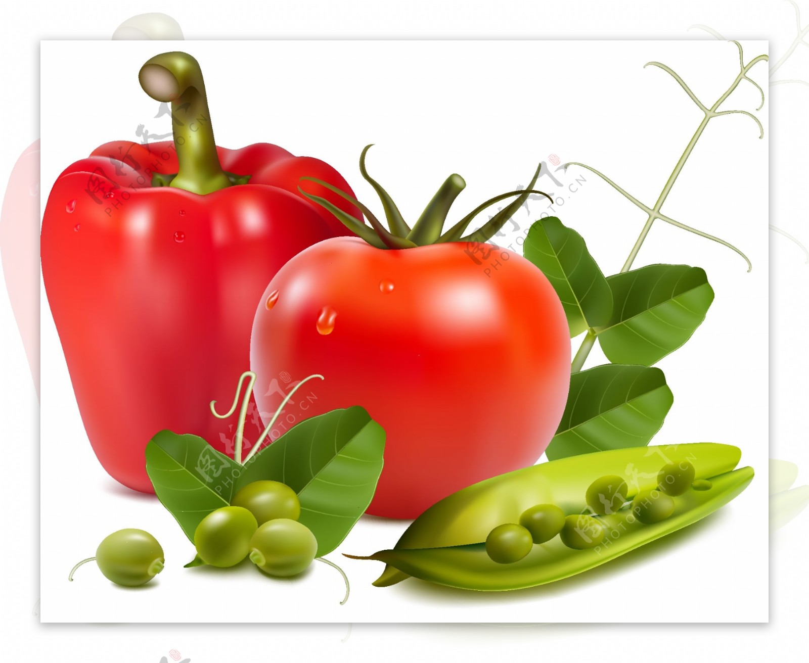 矢量新鲜水果蔬菜图片番茄豌豆下载
