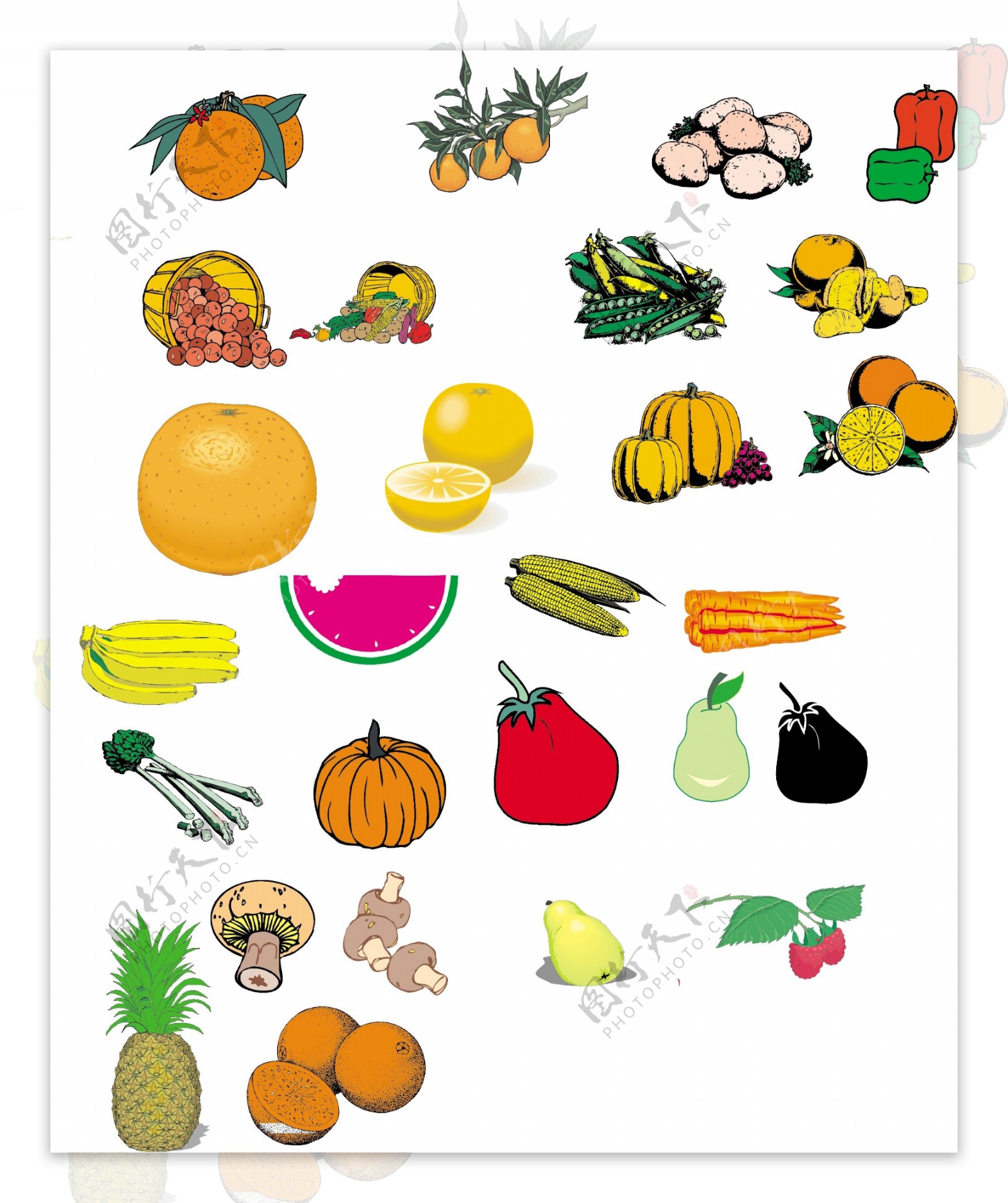 蔬菜水果4图片
