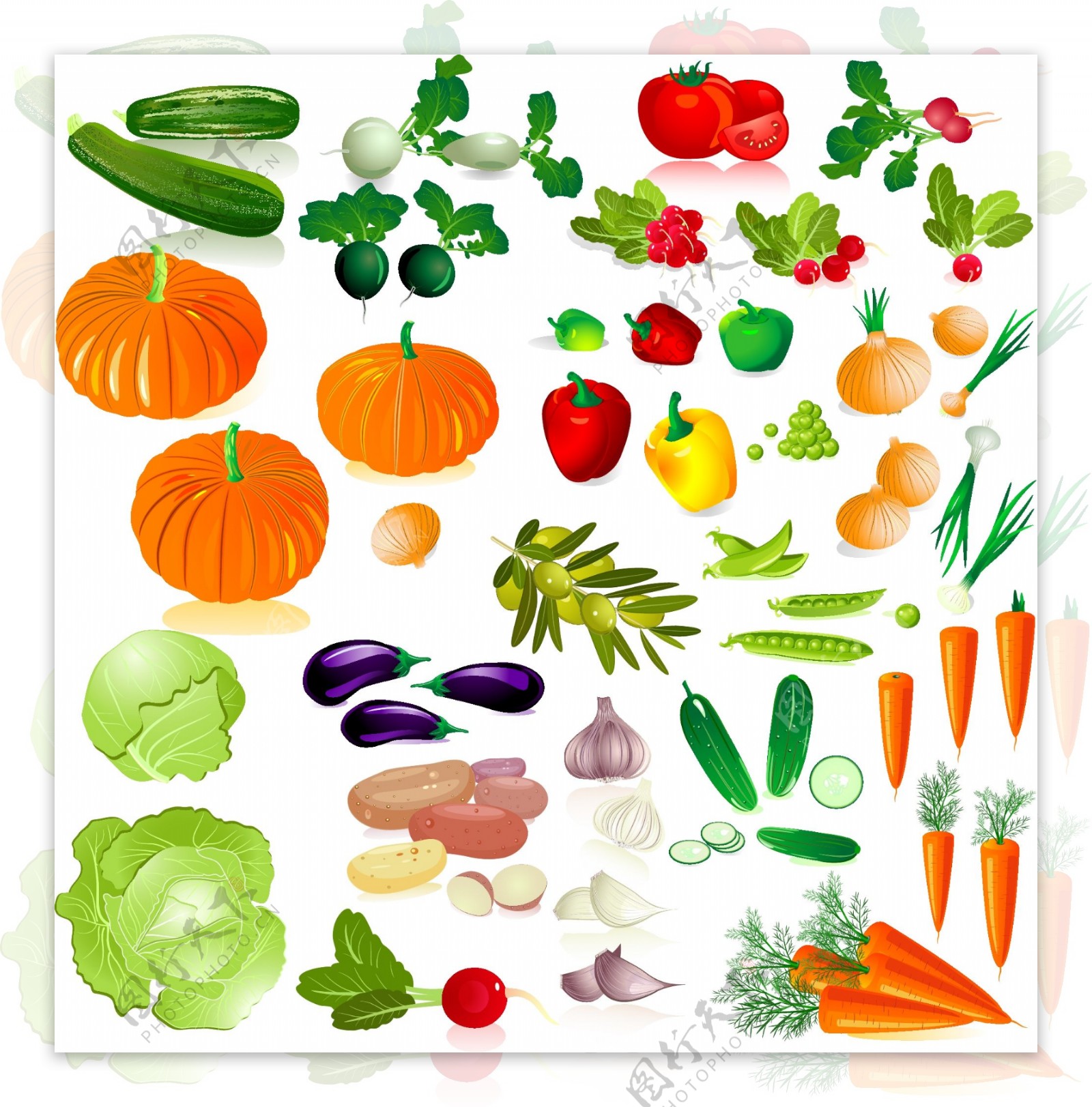 新鲜蔬菜和水果矢量