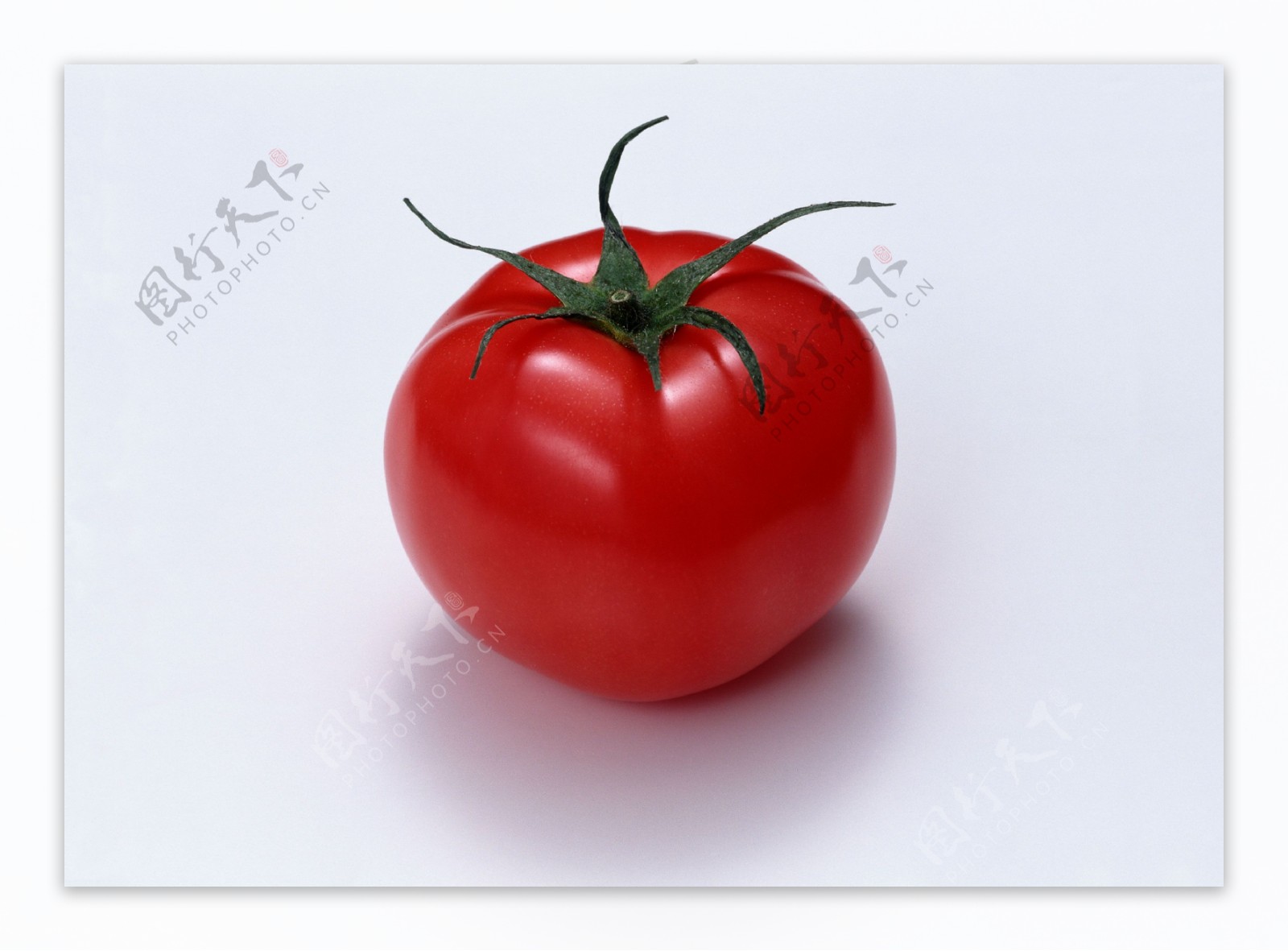 jpg水果蔬菜西红柿一个西红柿