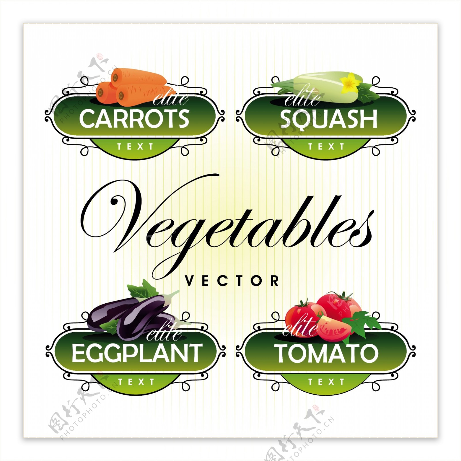 新鲜的水果和蔬菜的标签向量03