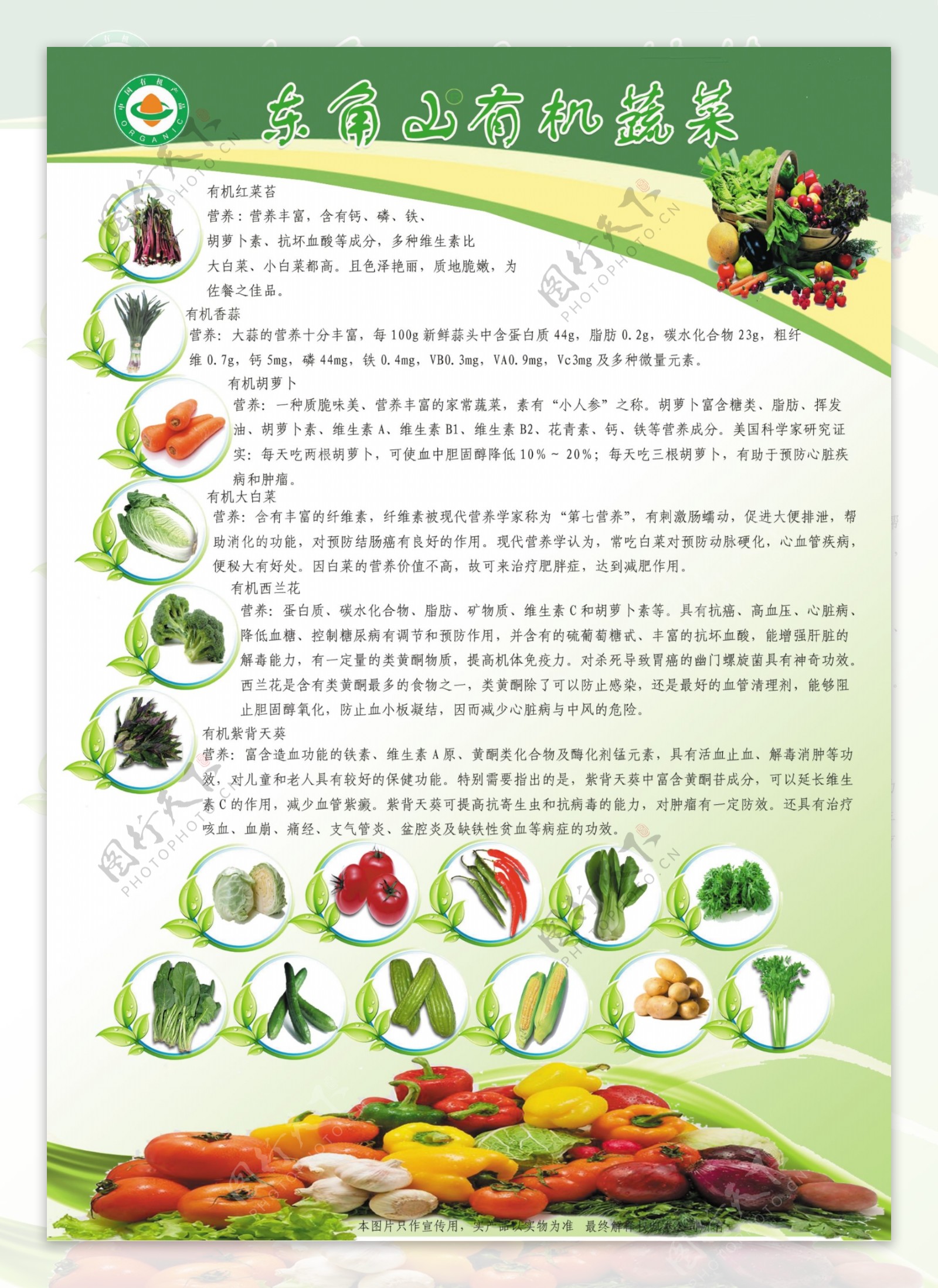 农业蔬菜宣传单图片