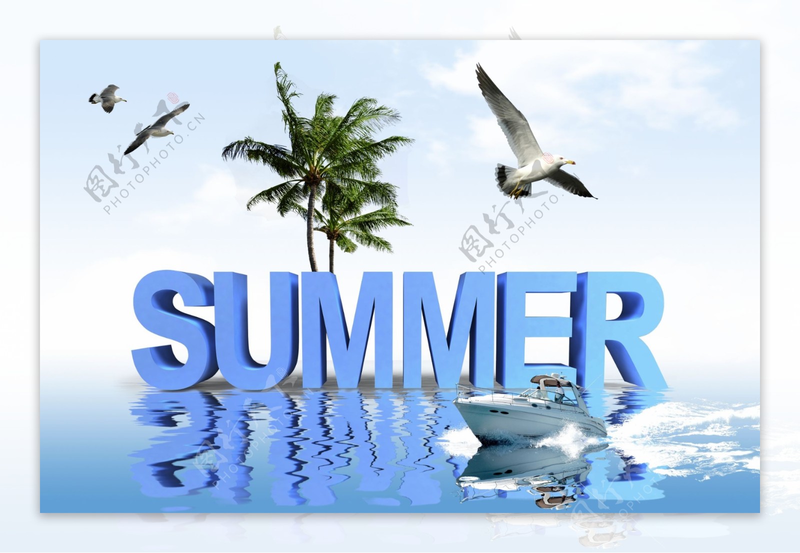 夏天海鸟椰树图图片