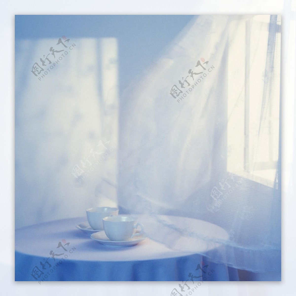 非主流清新静物窗纱下的茶杯艺术静谧风格