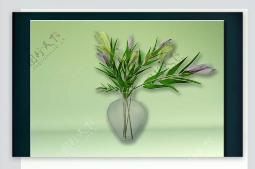 装饰构件之植物3D模型植物003