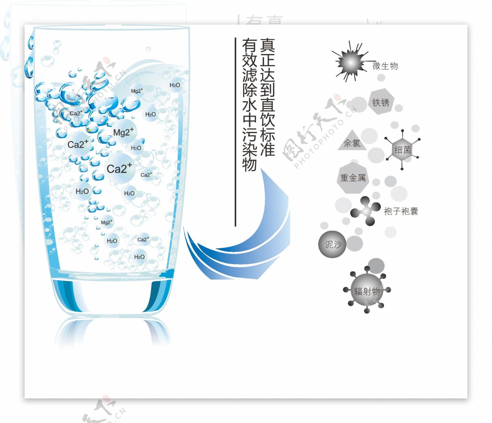 玻璃杯细菌净水图片