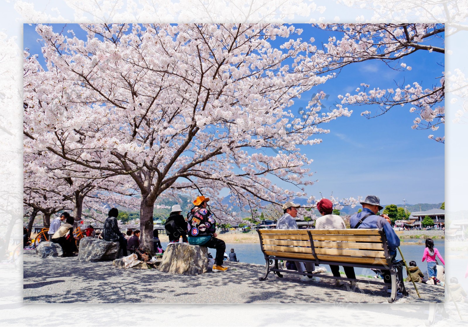 桃花风景图片