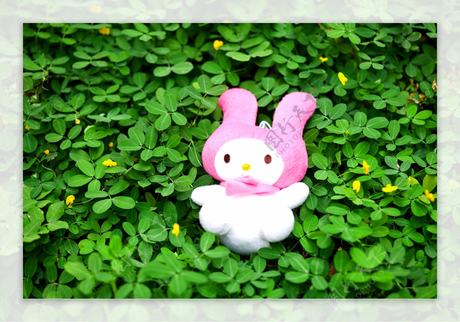 草地上的玩具兔图片