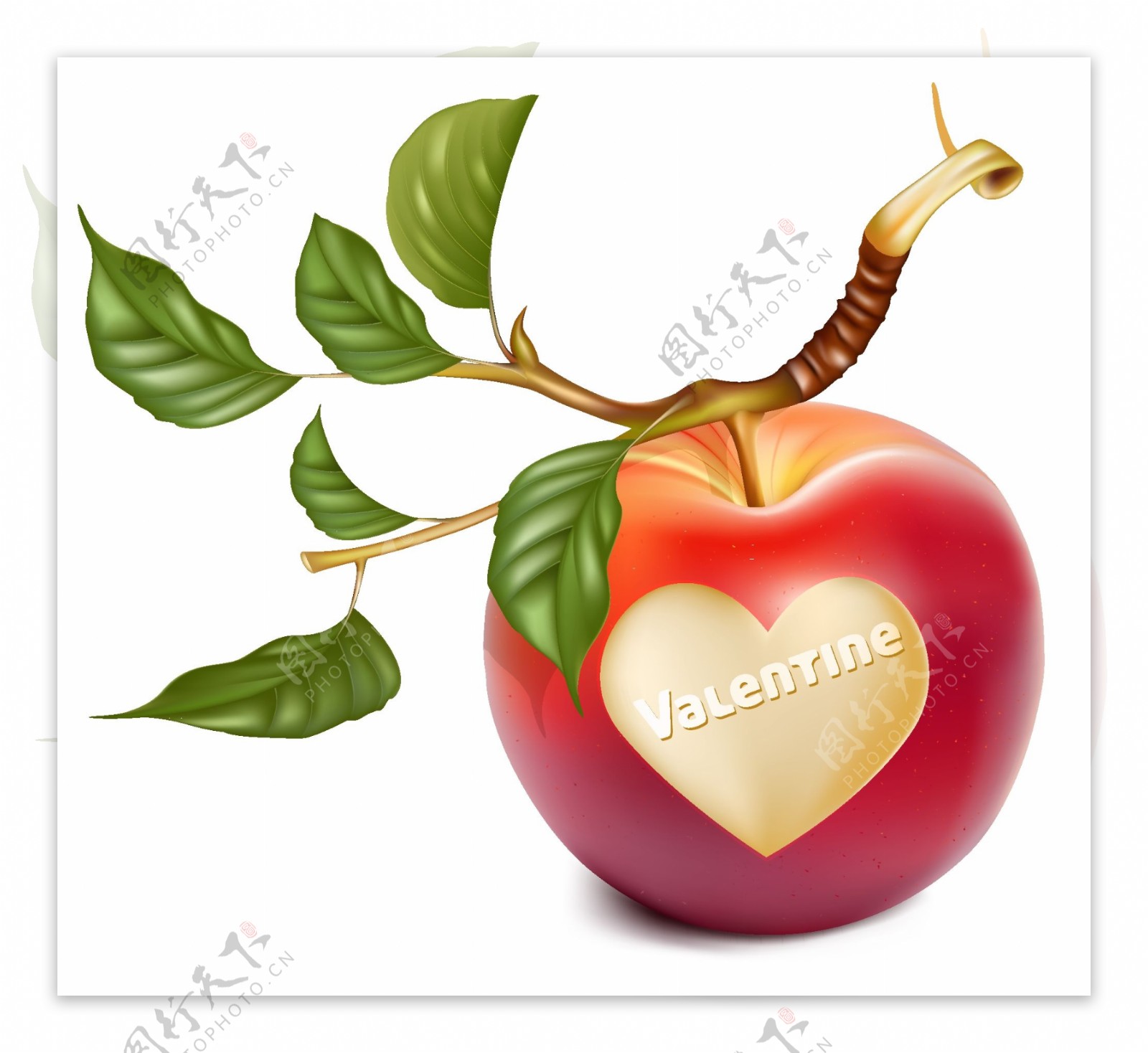 浪漫的心形苹果和樱桃矢量素材