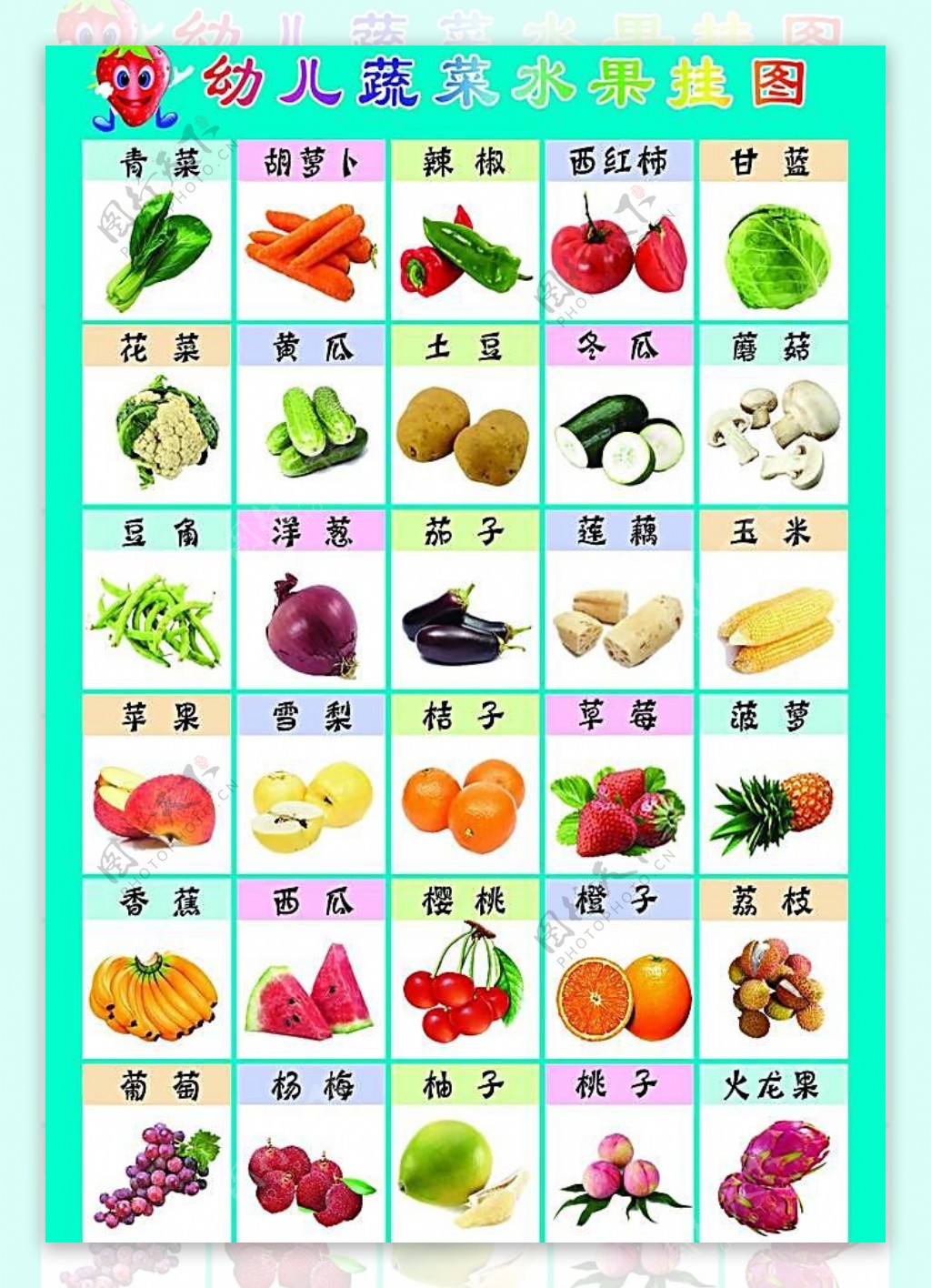 蔬菜水果挂图图片