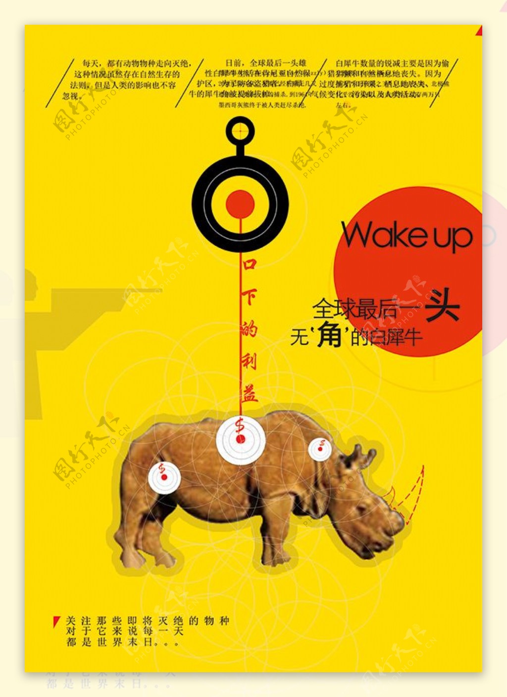 保护动物海报PSD图片