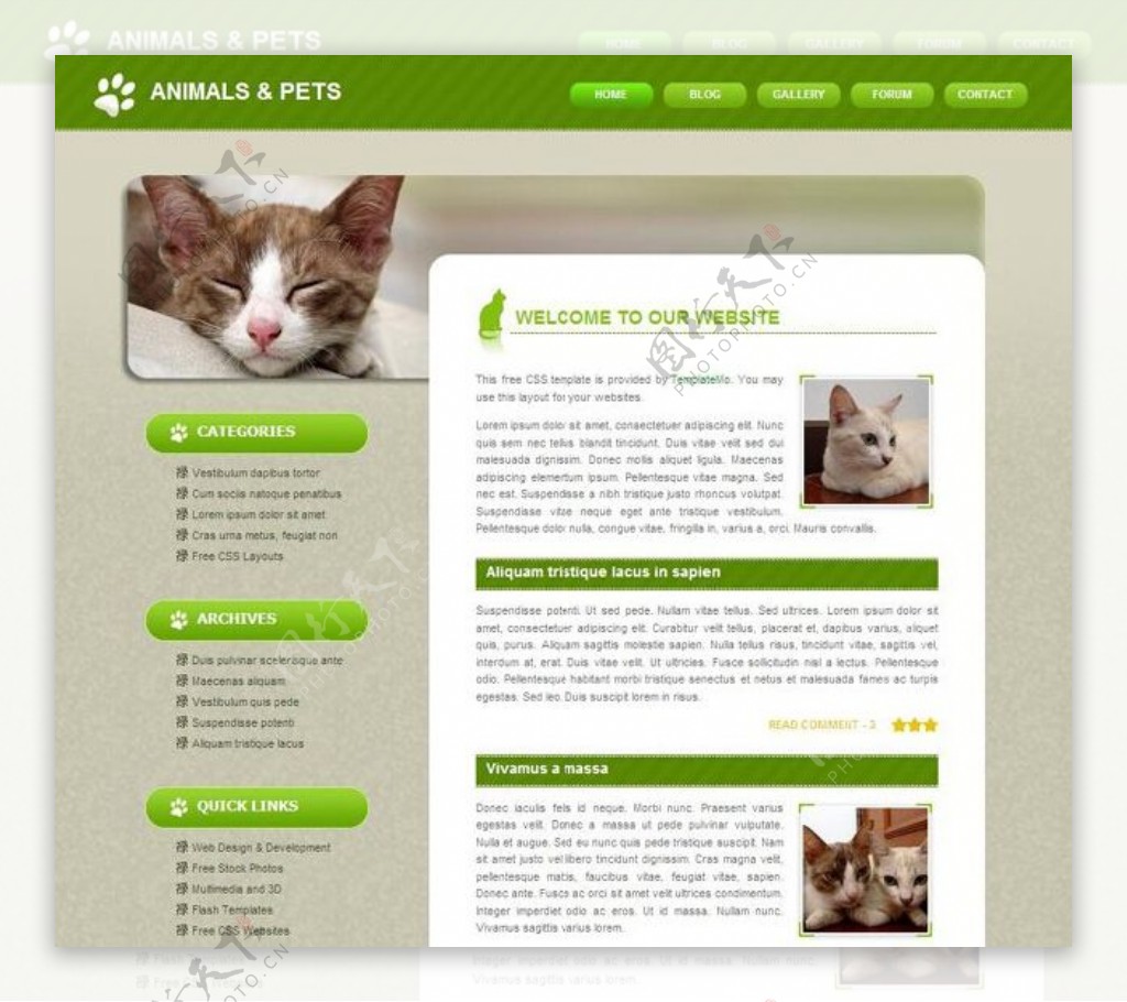 动物宠物网页模板