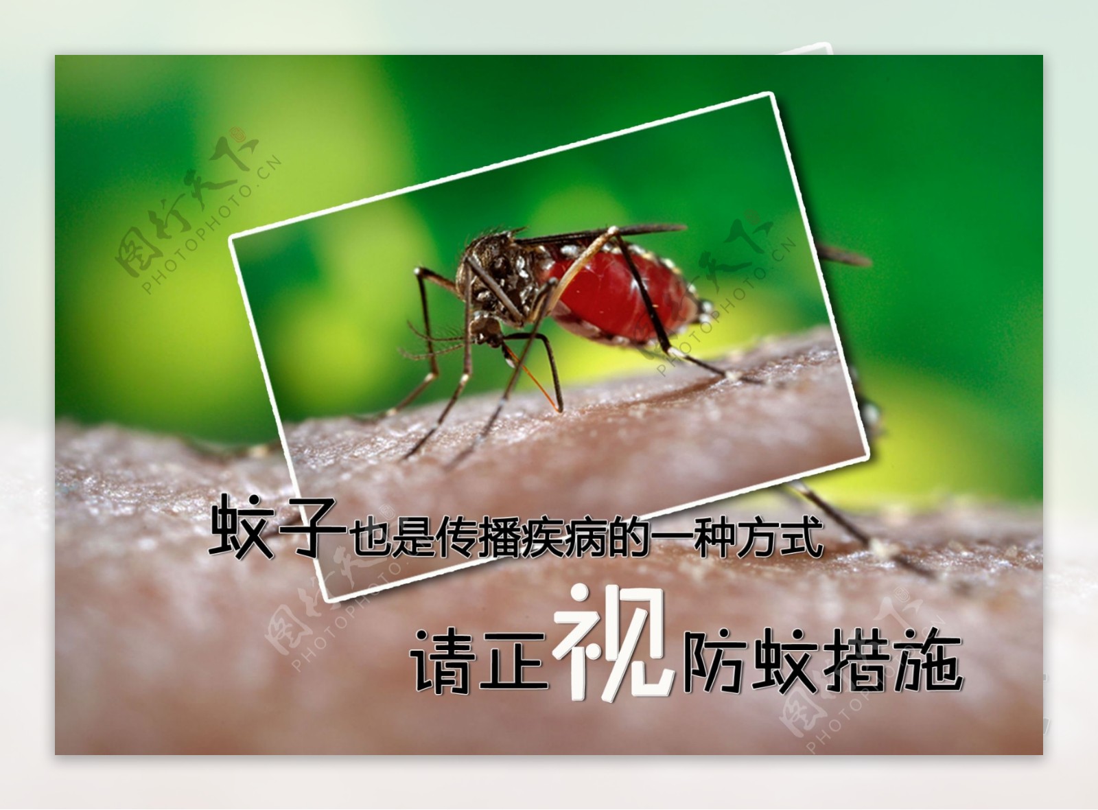 防蚊公益广告图片