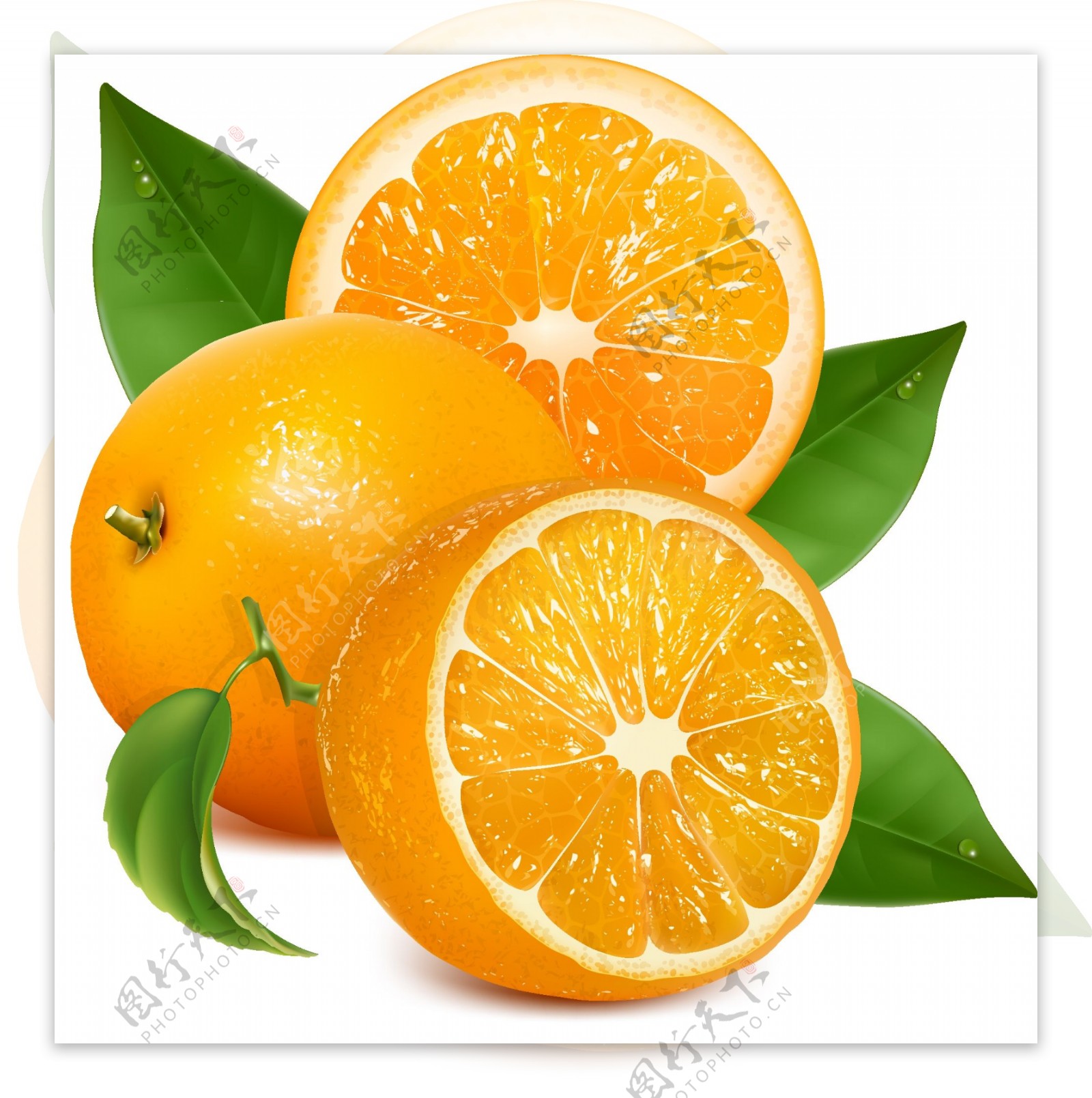 桔子橙子图片