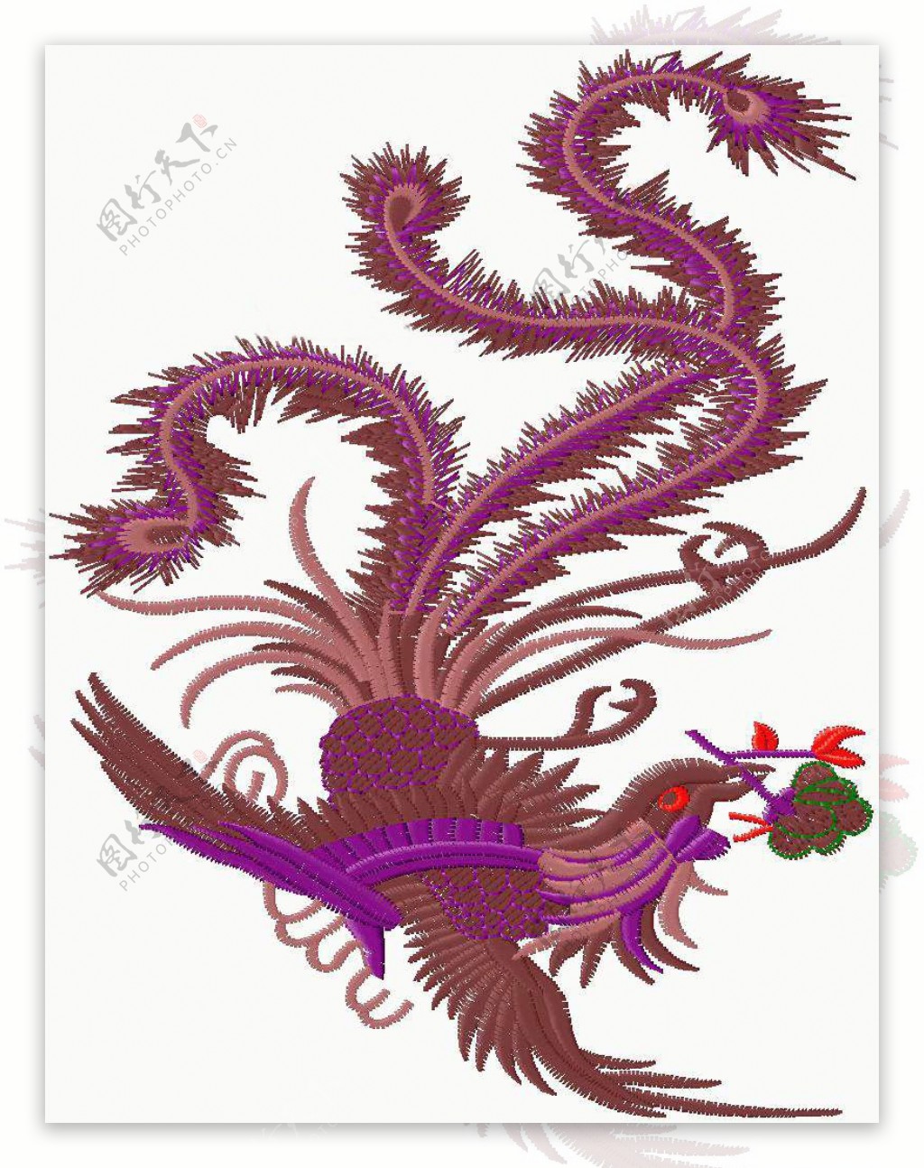 绣花动物凤凰色彩紫色免费素材