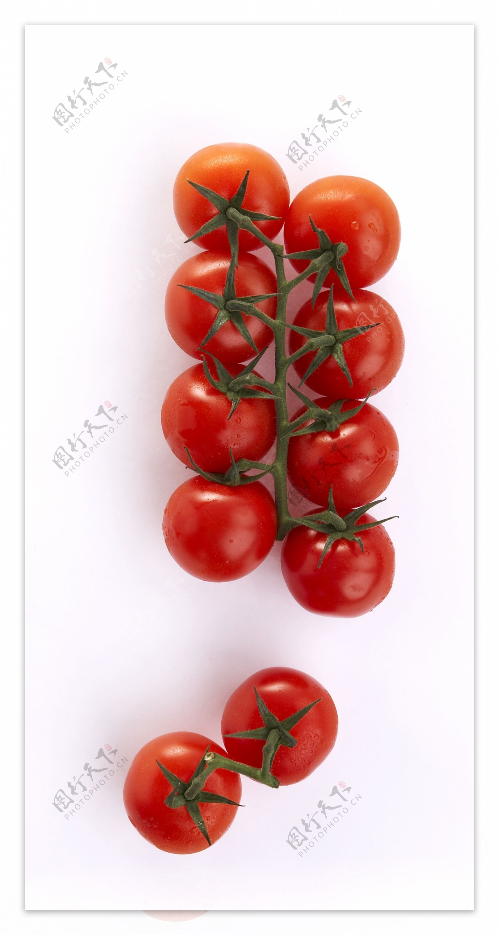 西红柿番茄图片