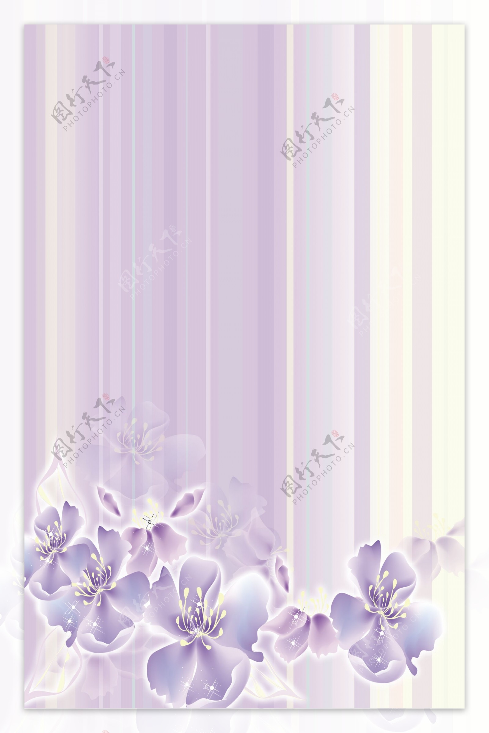 紫色竖条花图片
