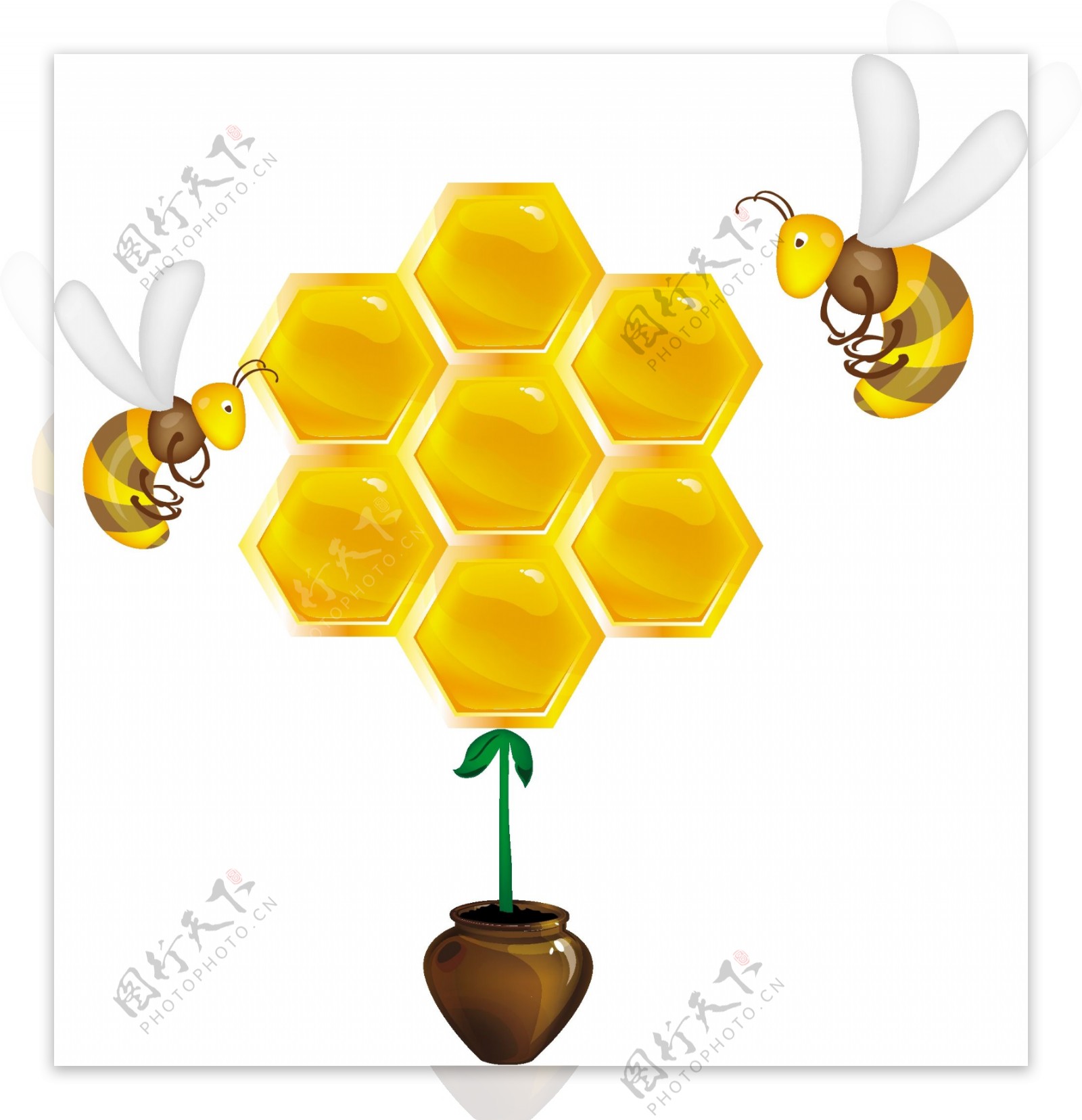 蜜蜂和蜂巢图片