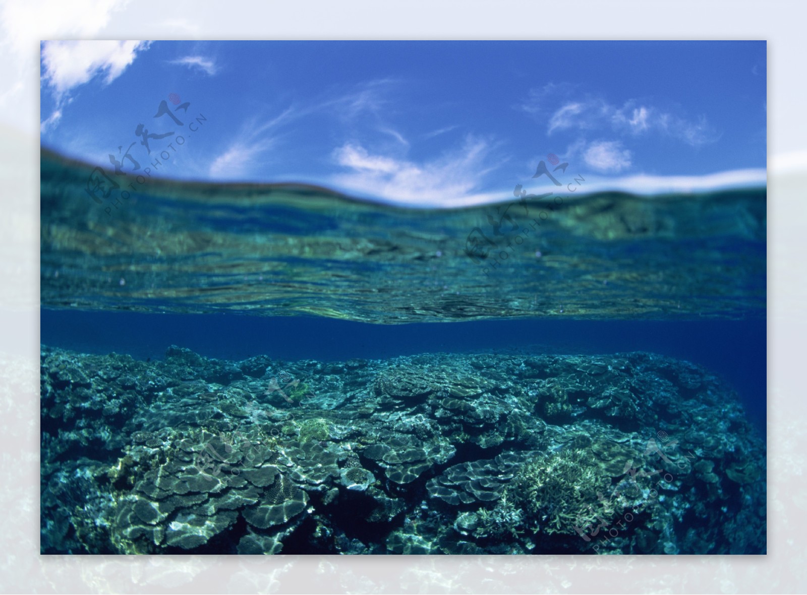 大海深海海底珊瑚礁清澈
