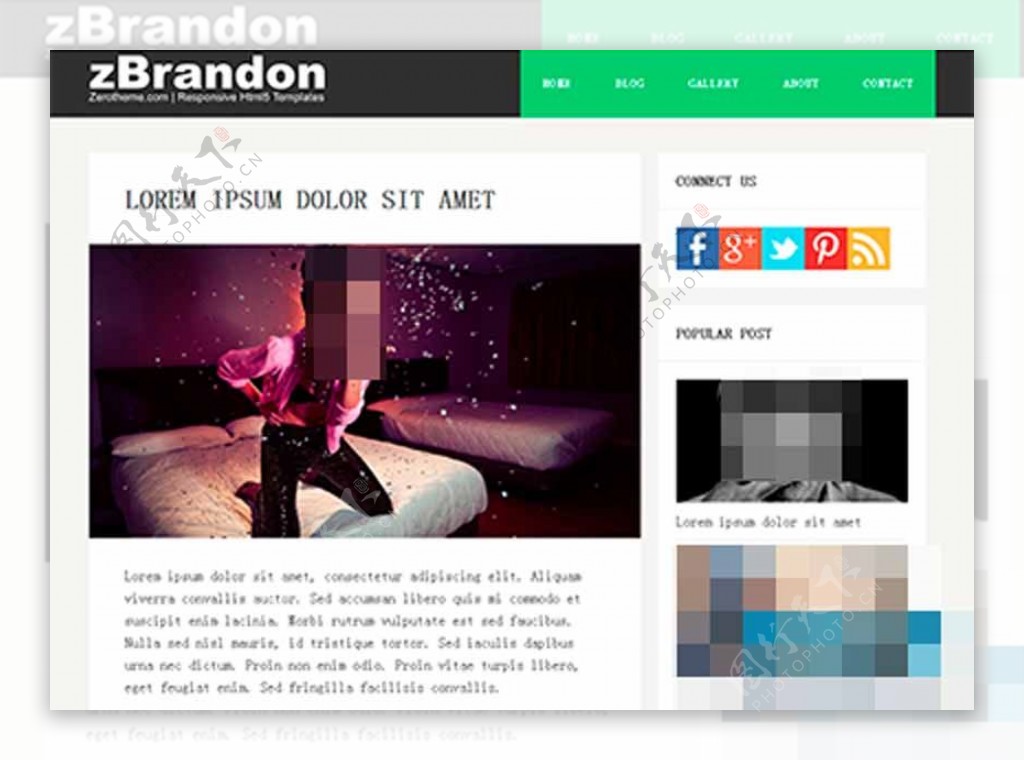 纯色扁平化简洁摄影博客网页模板